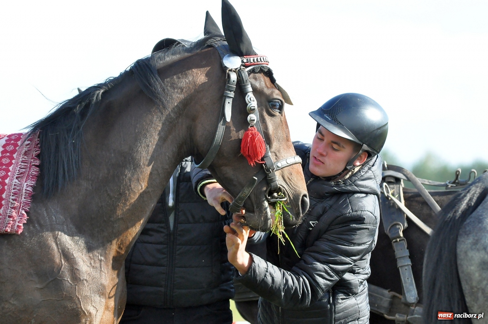Zdjęcie w galerii na portalu naszraciborz.pl: W Łańcach na Hubertusie dwa razy gonili lisa [FOTO i WIDEO]  wiadomości z regionu
