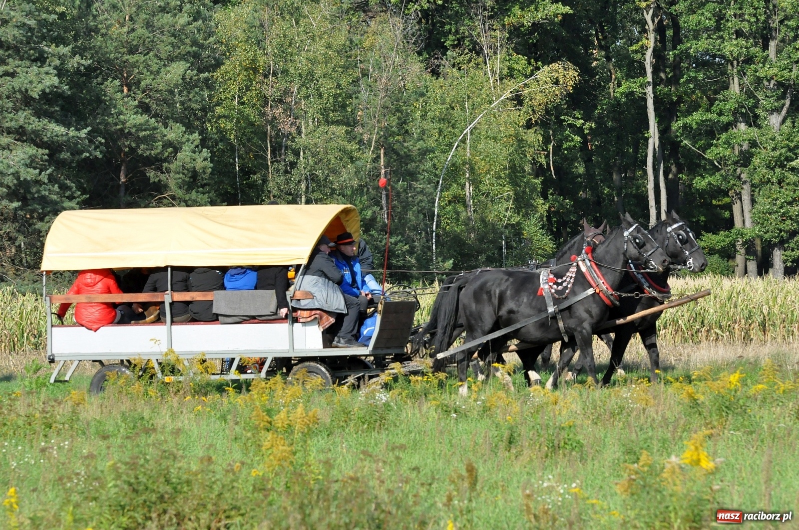 Zdjęcie w galerii na portalu naszraciborz.pl: W Łańcach na Hubertusie dwa razy gonili lisa [FOTO i WIDEO]  wiadomości z regionu