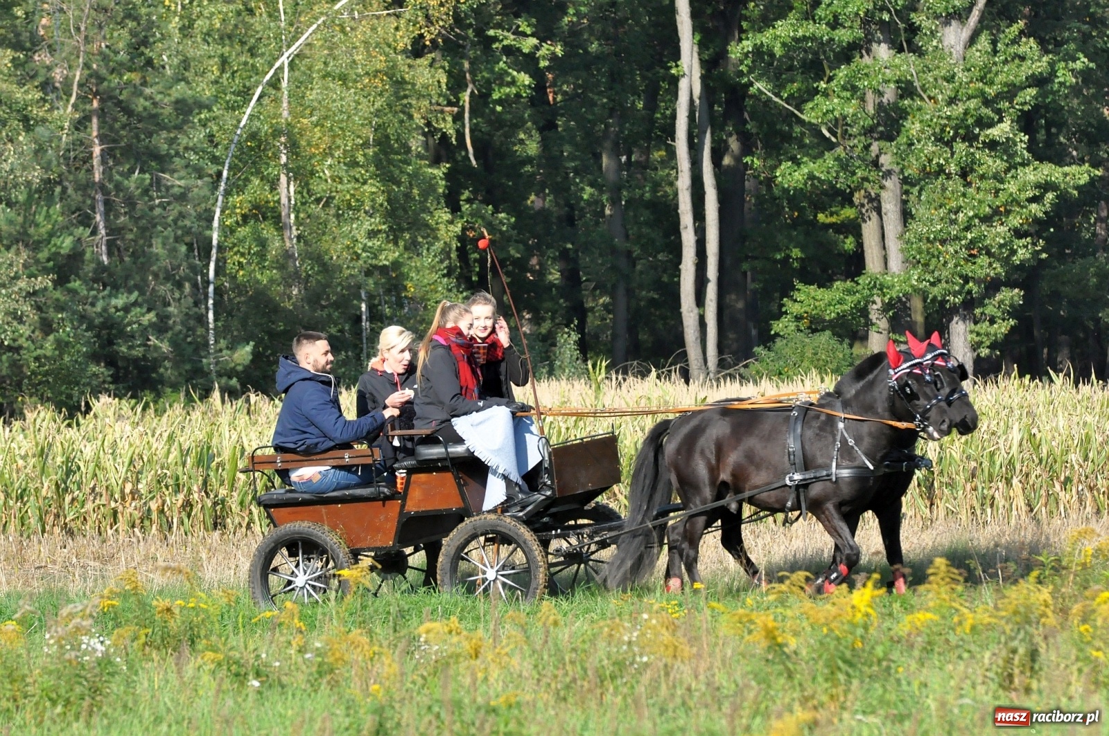 Zdjęcie w galerii na portalu naszraciborz.pl: W Łańcach na Hubertusie dwa razy gonili lisa [FOTO i WIDEO]  wiadomości z regionu