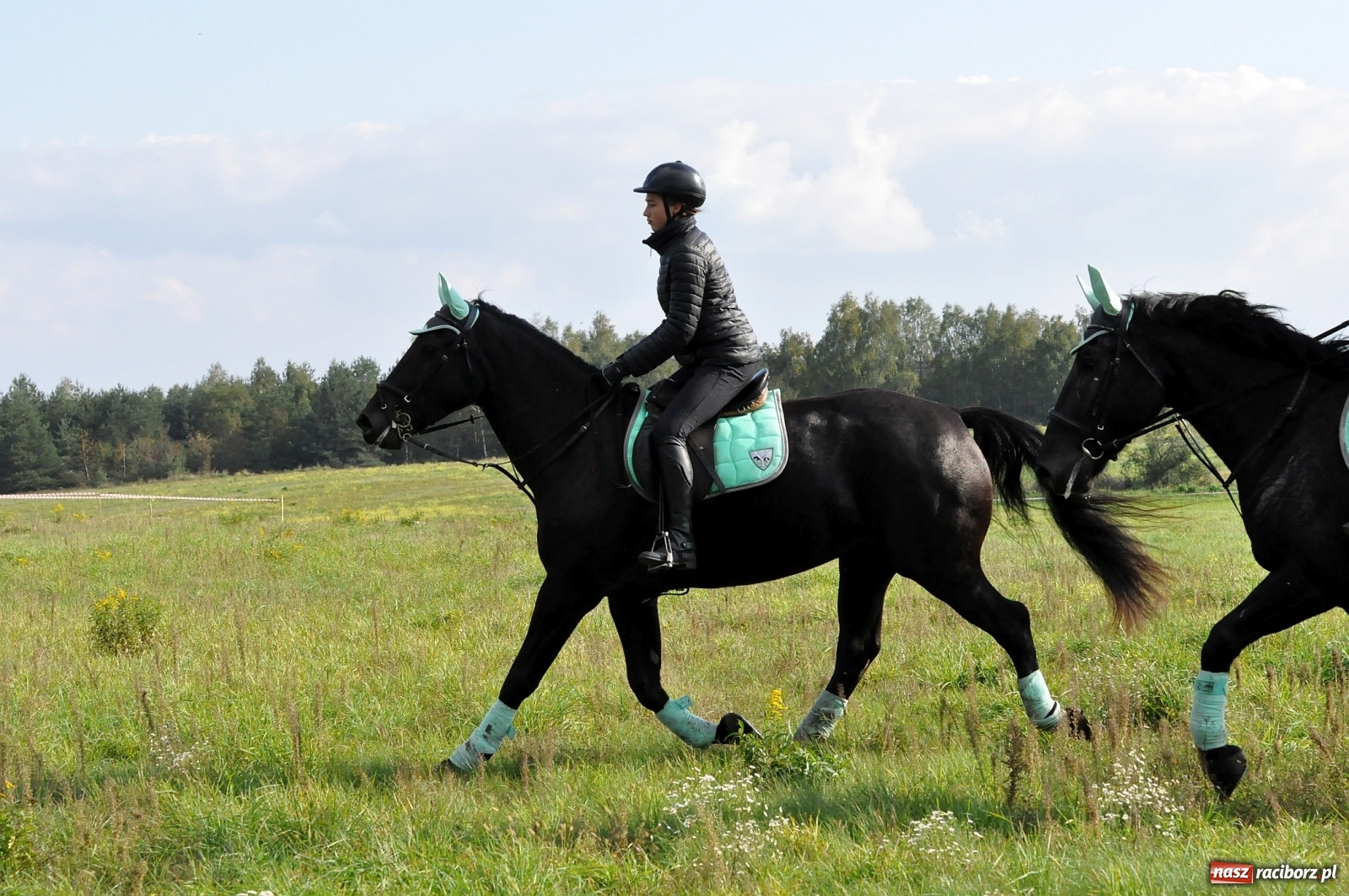 Zdjęcie w galerii na portalu naszraciborz.pl: W Łańcach na Hubertusie dwa razy gonili lisa [FOTO i WIDEO]  wiadomości z regionu