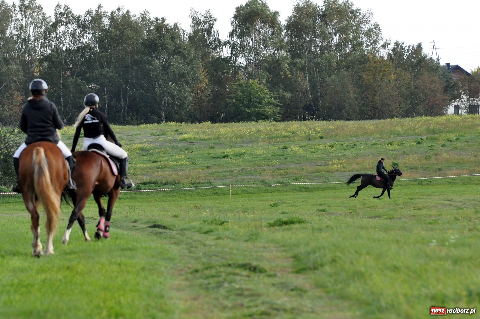 Zdjęcie w galerii na portalu naszraciborz.pl: W Łańcach na Hubertusie dwa razy gonili lisa [FOTO i WIDEO]  wiadomości z regionu