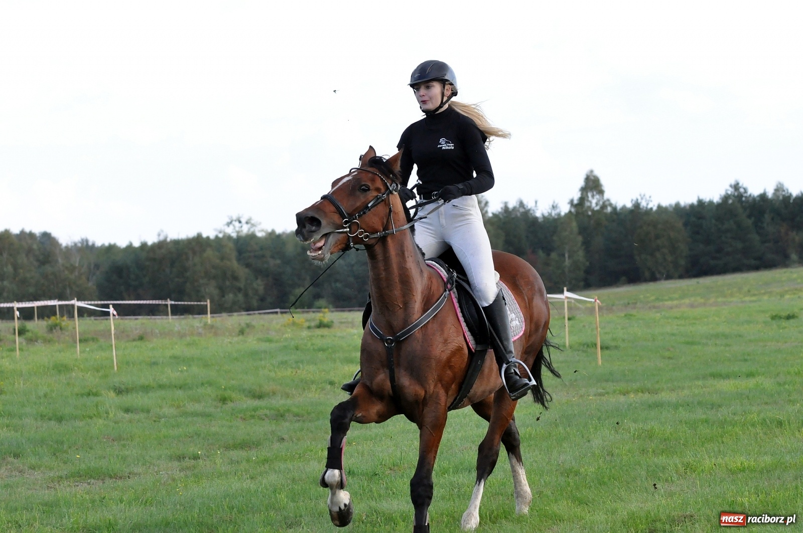 Zdjęcie w galerii na portalu naszraciborz.pl: W Łańcach na Hubertusie dwa razy gonili lisa [FOTO i WIDEO]  wiadomości z regionu