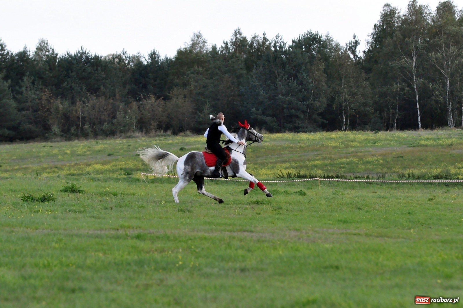 Zdjęcie w galerii na portalu naszraciborz.pl: W Łańcach na Hubertusie dwa razy gonili lisa [FOTO i WIDEO]  wiadomości z regionu