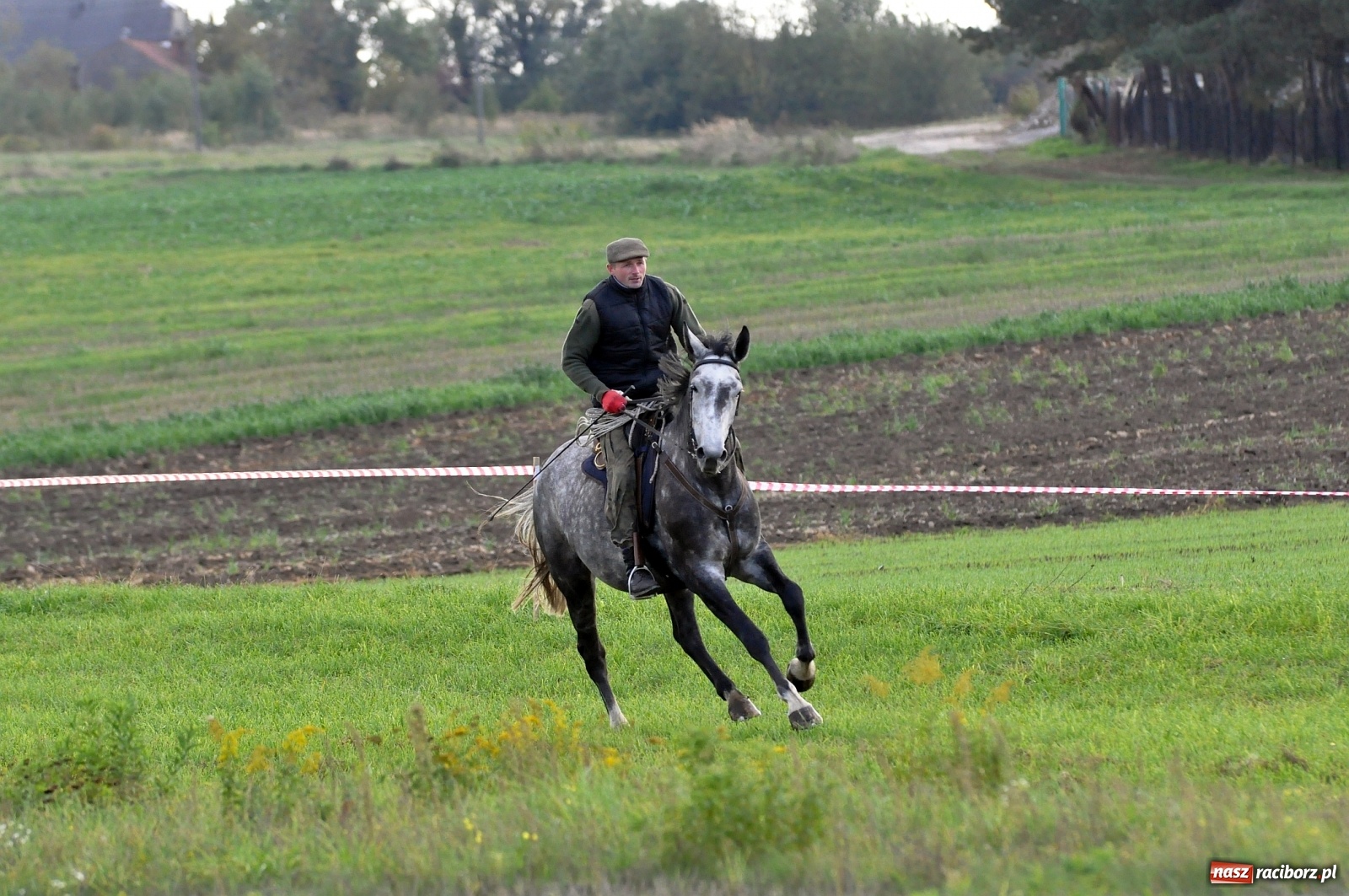 Zdjęcie w galerii na portalu naszraciborz.pl: W Łańcach na Hubertusie dwa razy gonili lisa [FOTO i WIDEO]  wiadomości z regionu
