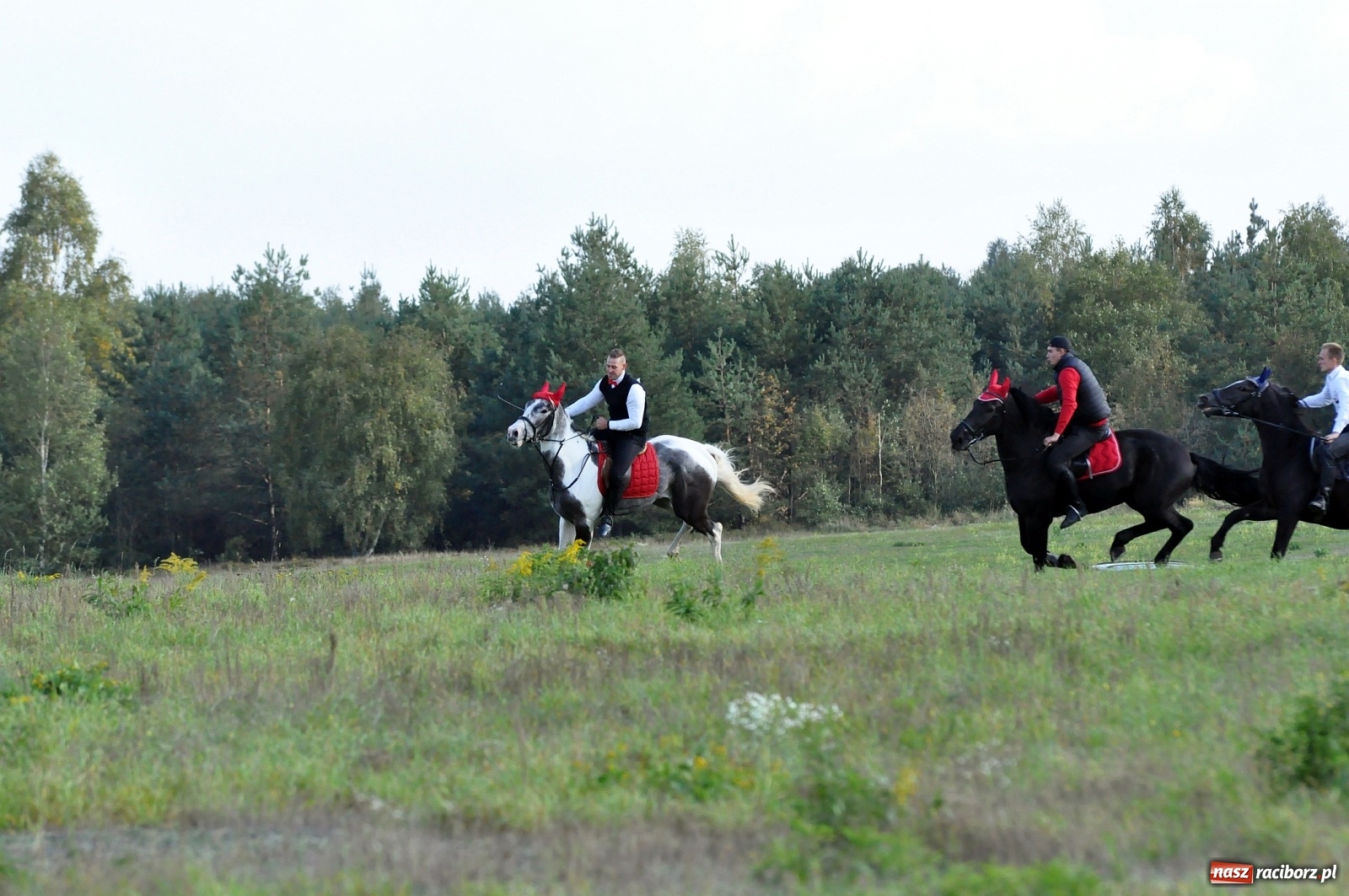 Zdjęcie w galerii na portalu naszraciborz.pl: W Łańcach na Hubertusie dwa razy gonili lisa [FOTO i WIDEO]  wiadomości z regionu