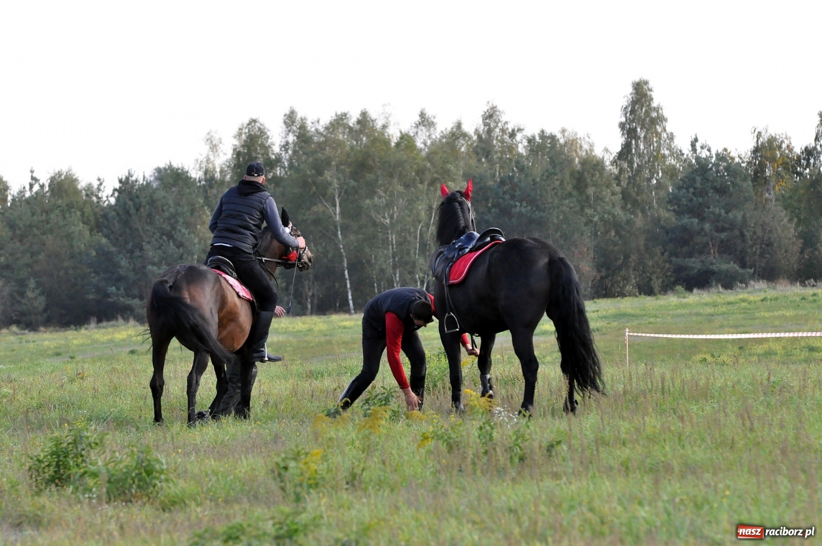 Zdjęcie w galerii na portalu naszraciborz.pl: W Łańcach na Hubertusie dwa razy gonili lisa [FOTO i WIDEO]  wiadomości z regionu