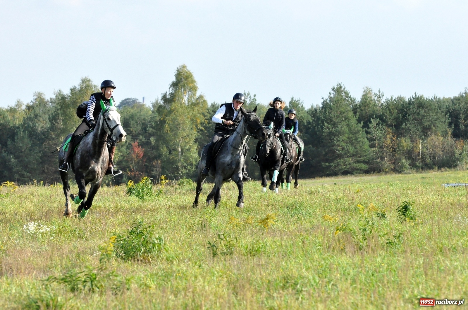 Zdjęcie w galerii na portalu naszraciborz.pl: W Łańcach na Hubertusie dwa razy gonili lisa [FOTO i WIDEO]  wiadomości z regionu