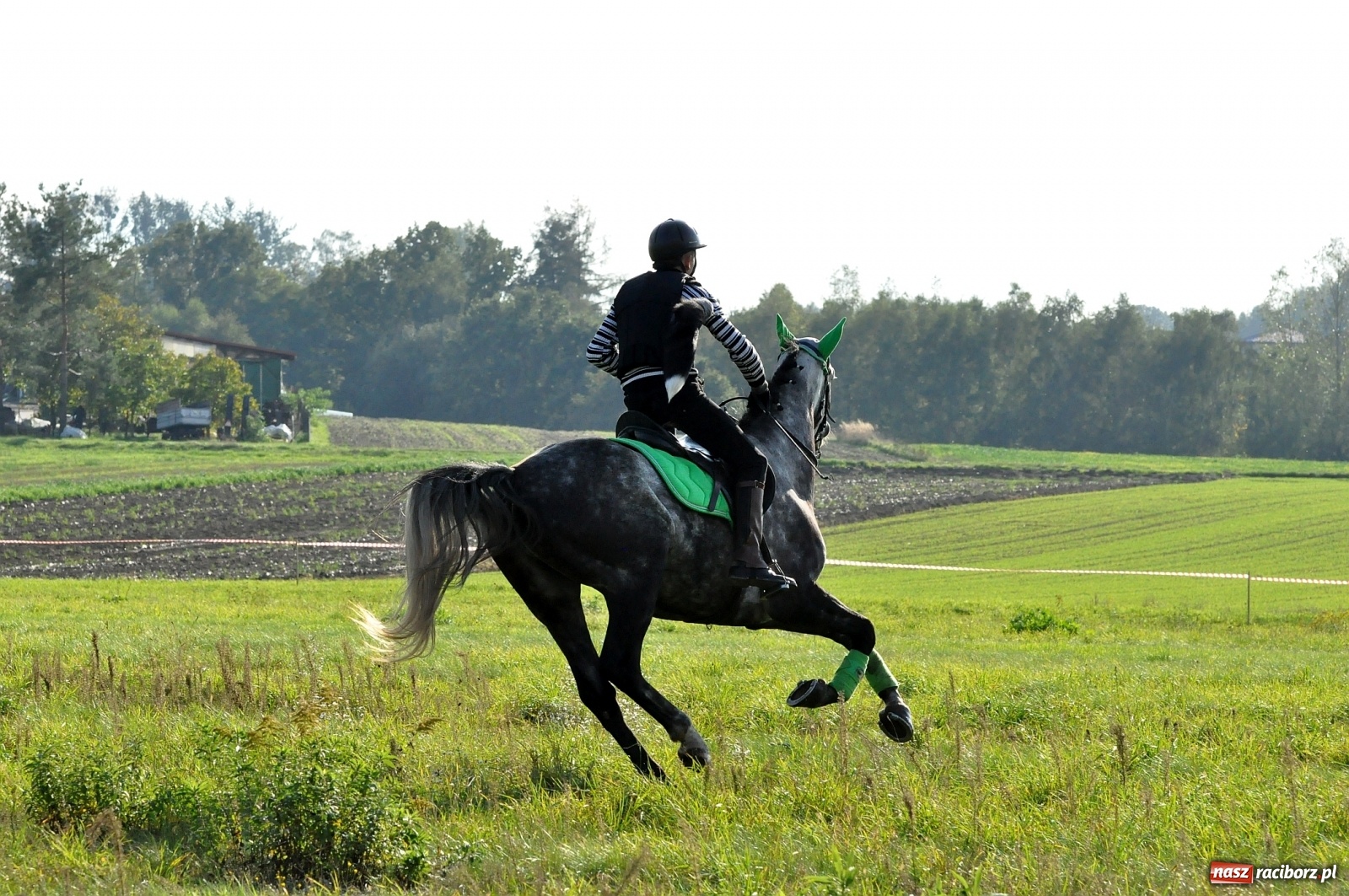 Zdjęcie w galerii na portalu naszraciborz.pl: W Łańcach na Hubertusie dwa razy gonili lisa [FOTO i WIDEO]  wiadomości z regionu