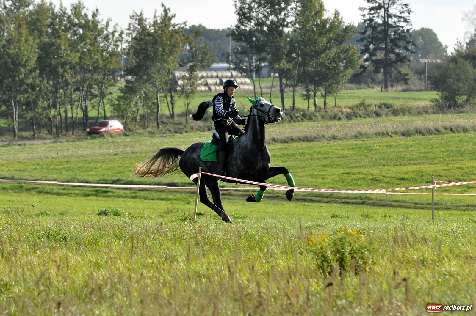 Zdjęcie w galerii na portalu naszraciborz.pl: W Łańcach na Hubertusie dwa razy gonili lisa [FOTO i WIDEO]  wiadomości z regionu
