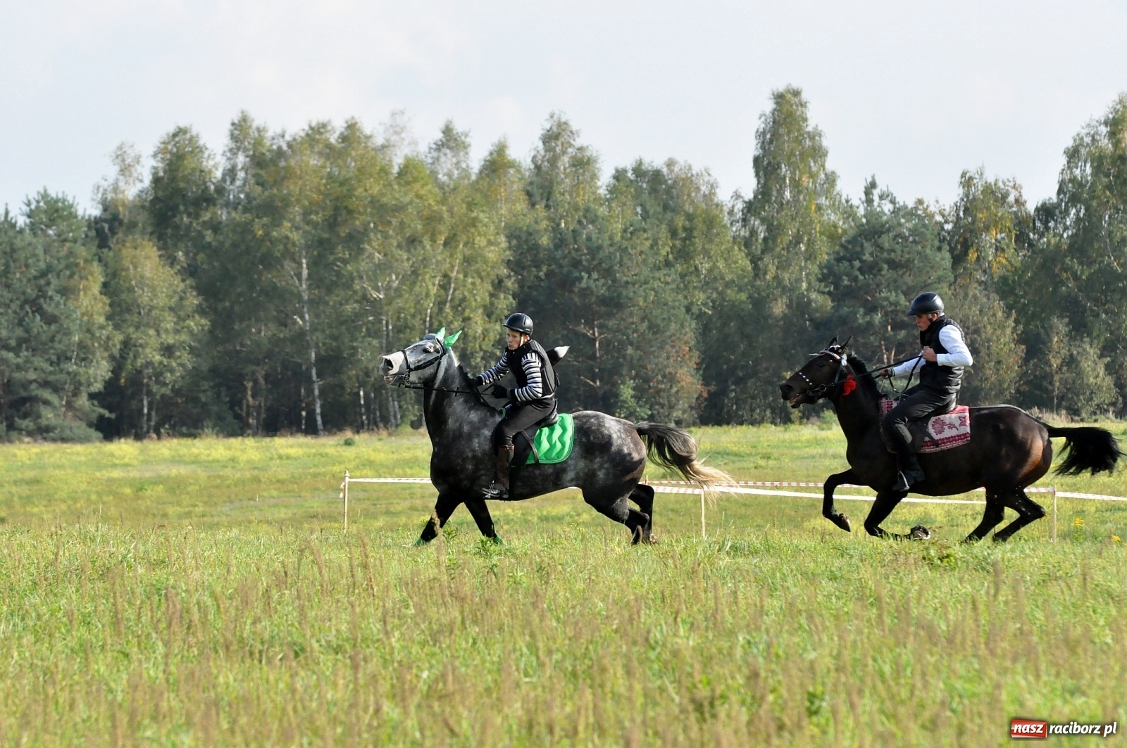 Zdjęcie w galerii na portalu naszraciborz.pl: W Łańcach na Hubertusie dwa razy gonili lisa [FOTO i WIDEO]  wiadomości z regionu