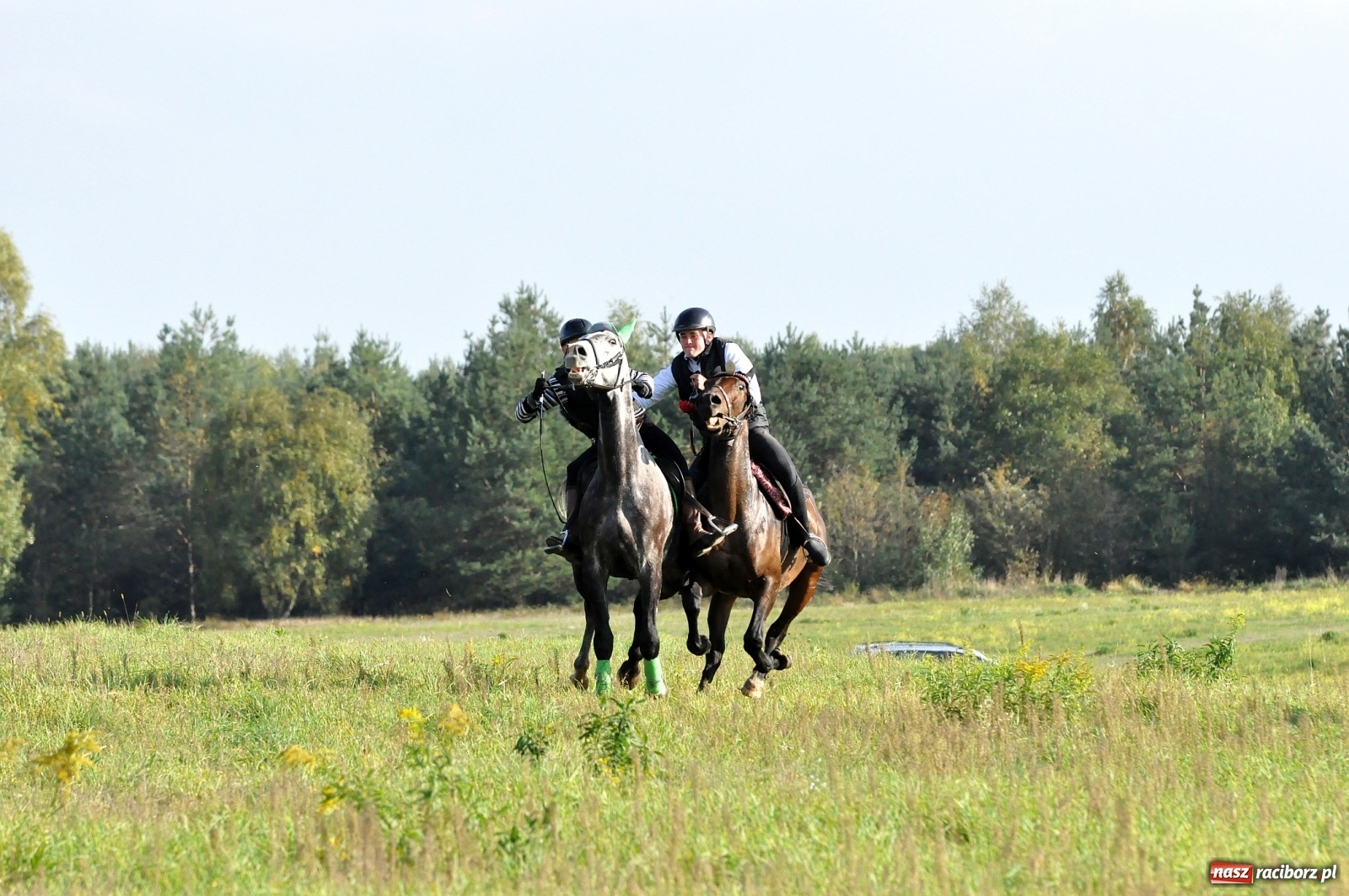 Zdjęcie w galerii na portalu naszraciborz.pl: W Łańcach na Hubertusie dwa razy gonili lisa [FOTO i WIDEO]  wiadomości z regionu