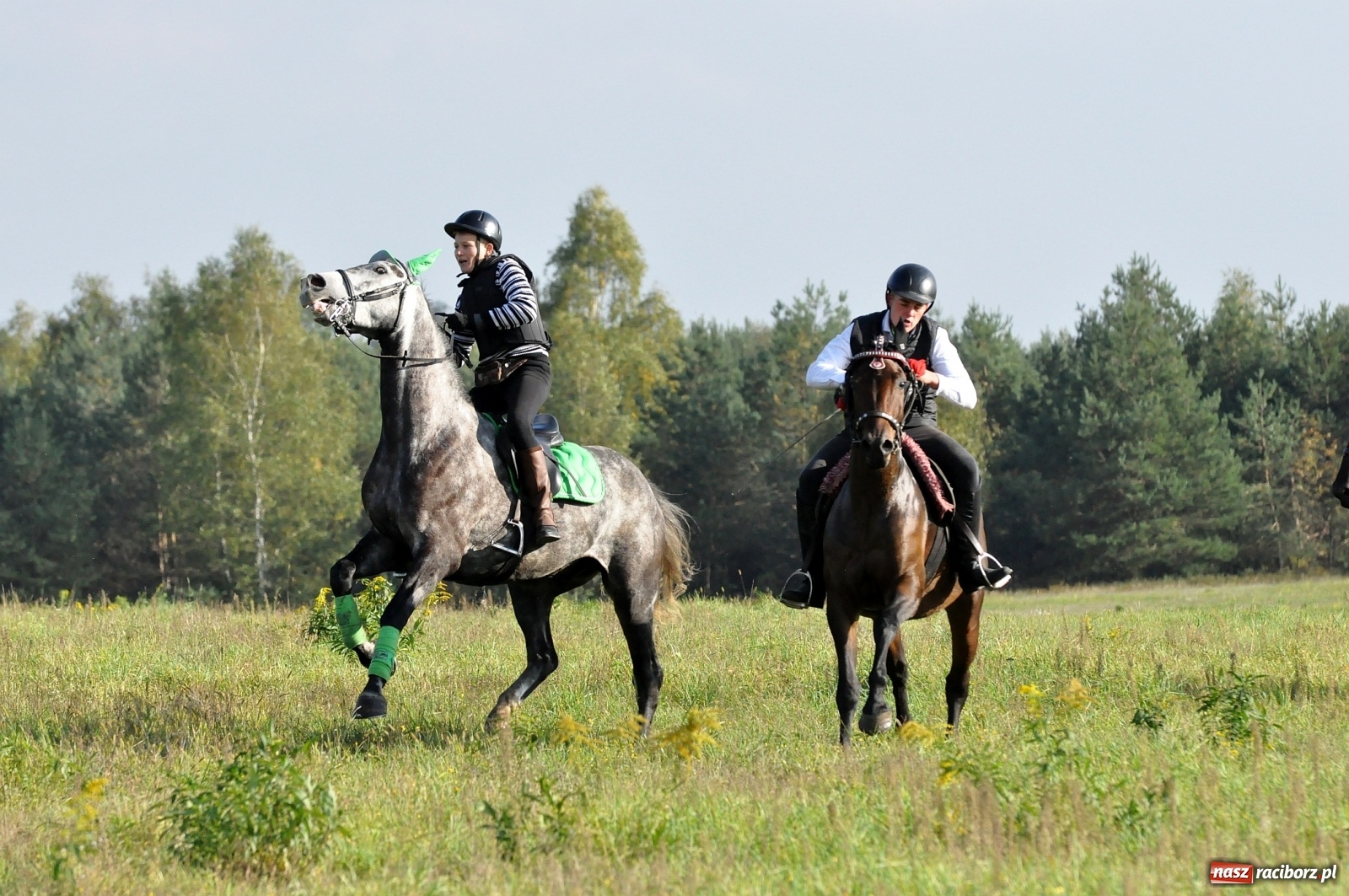 Zdjęcie w galerii na portalu naszraciborz.pl: W Łańcach na Hubertusie dwa razy gonili lisa [FOTO i WIDEO]  wiadomości z regionu