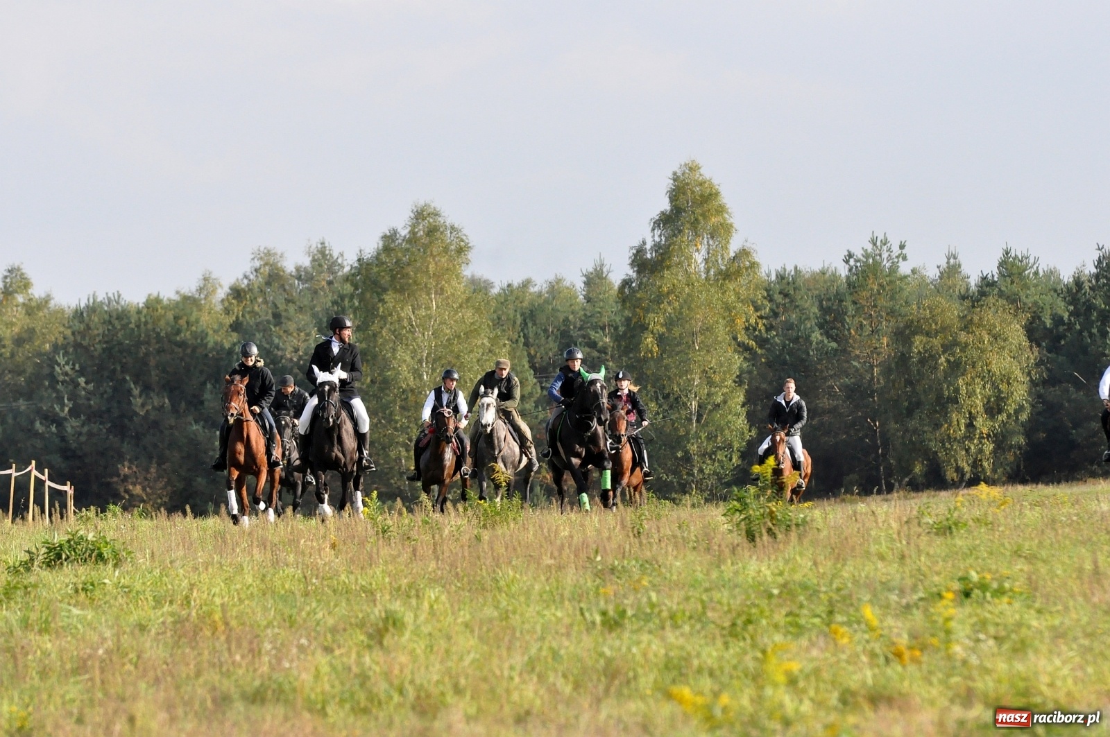 Zdjęcie w galerii na portalu naszraciborz.pl: W Łańcach na Hubertusie dwa razy gonili lisa [FOTO i WIDEO]  wiadomości z regionu