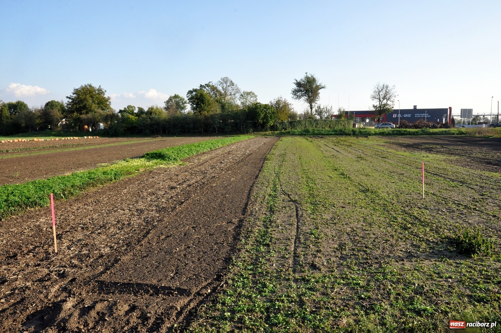 Zdjęcie w galerii na portalu naszraciborz.pl: Od strony Rybnickiej ruszyły już prace przy wschodniej obwodnicy Raciborza [FOTO]  wiadomości z regionu