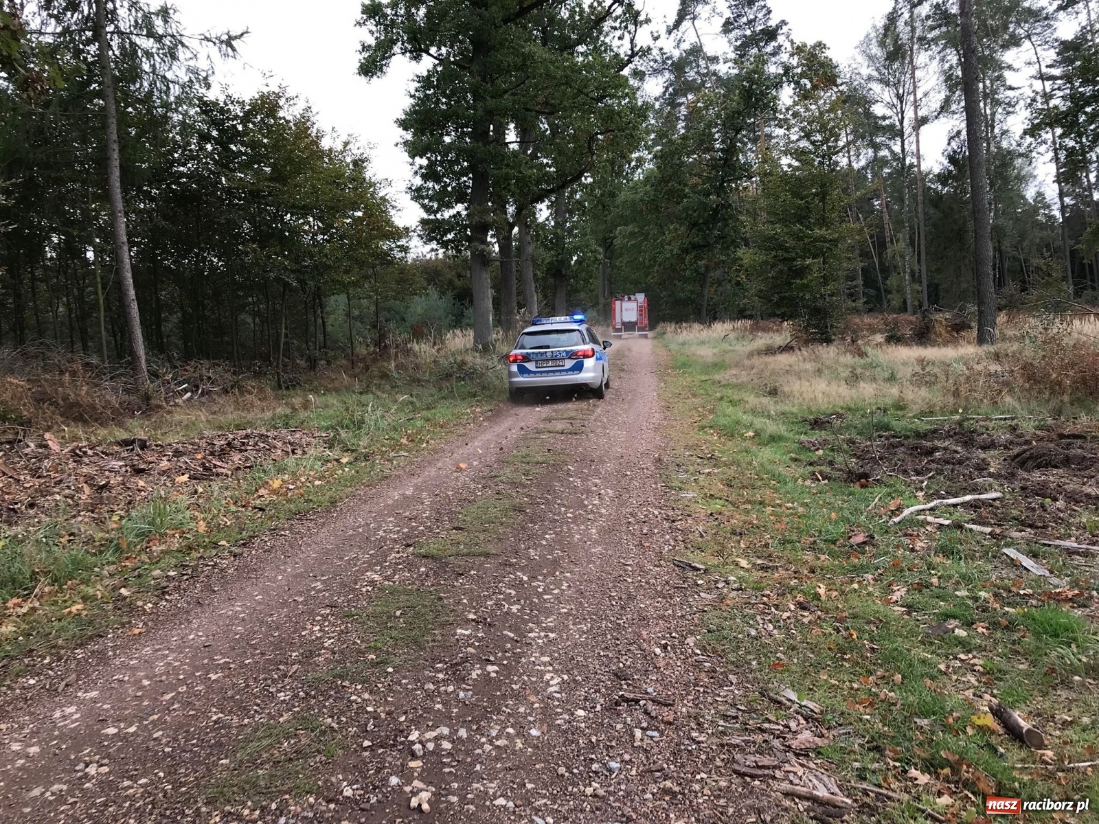 Zdjęcie w galerii na portalu naszraciborz.pl: Wybuch w Kuźni Raciborskiej. Dwóch saperów nie żyje! [FOTO i WIDEO] wiadomości z regionu