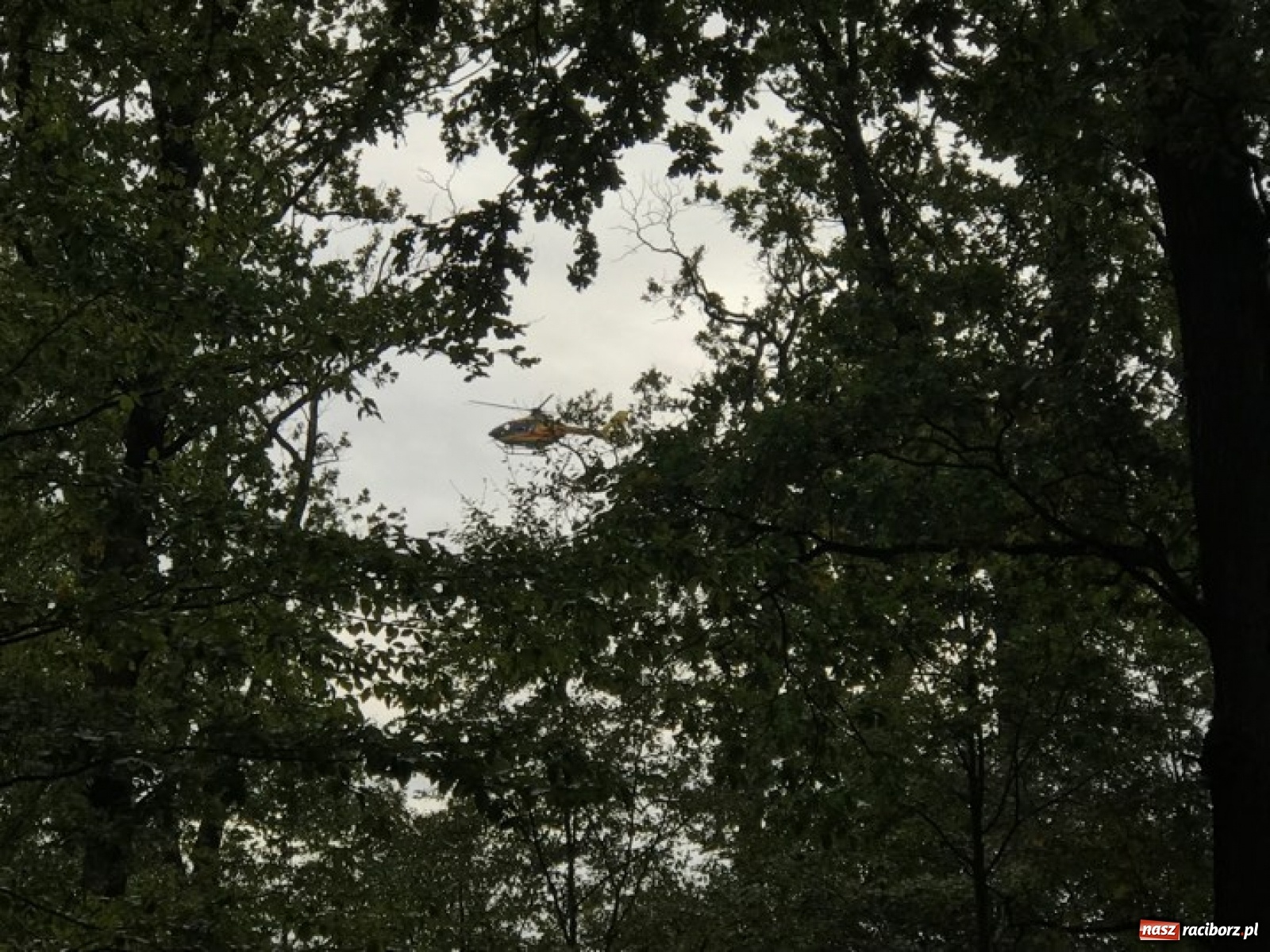 Zdjęcie w galerii na portalu naszraciborz.pl: Wybuch w Kuźni Raciborskiej. Dwóch saperów nie żyje! [FOTO i WIDEO] wiadomości z regionu