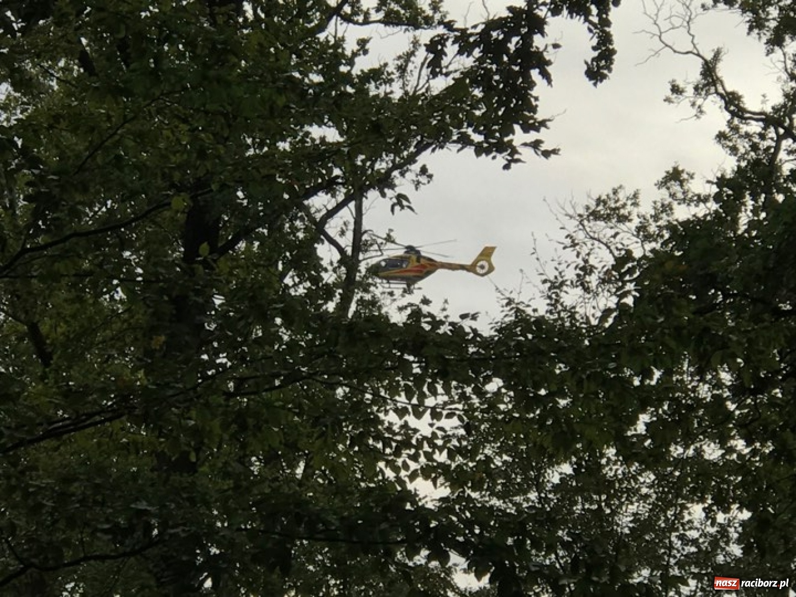 Zdjęcie w galerii na portalu naszraciborz.pl: Wybuch w Kuźni Raciborskiej. Dwóch saperów nie żyje! [FOTO i WIDEO] wiadomości z regionu