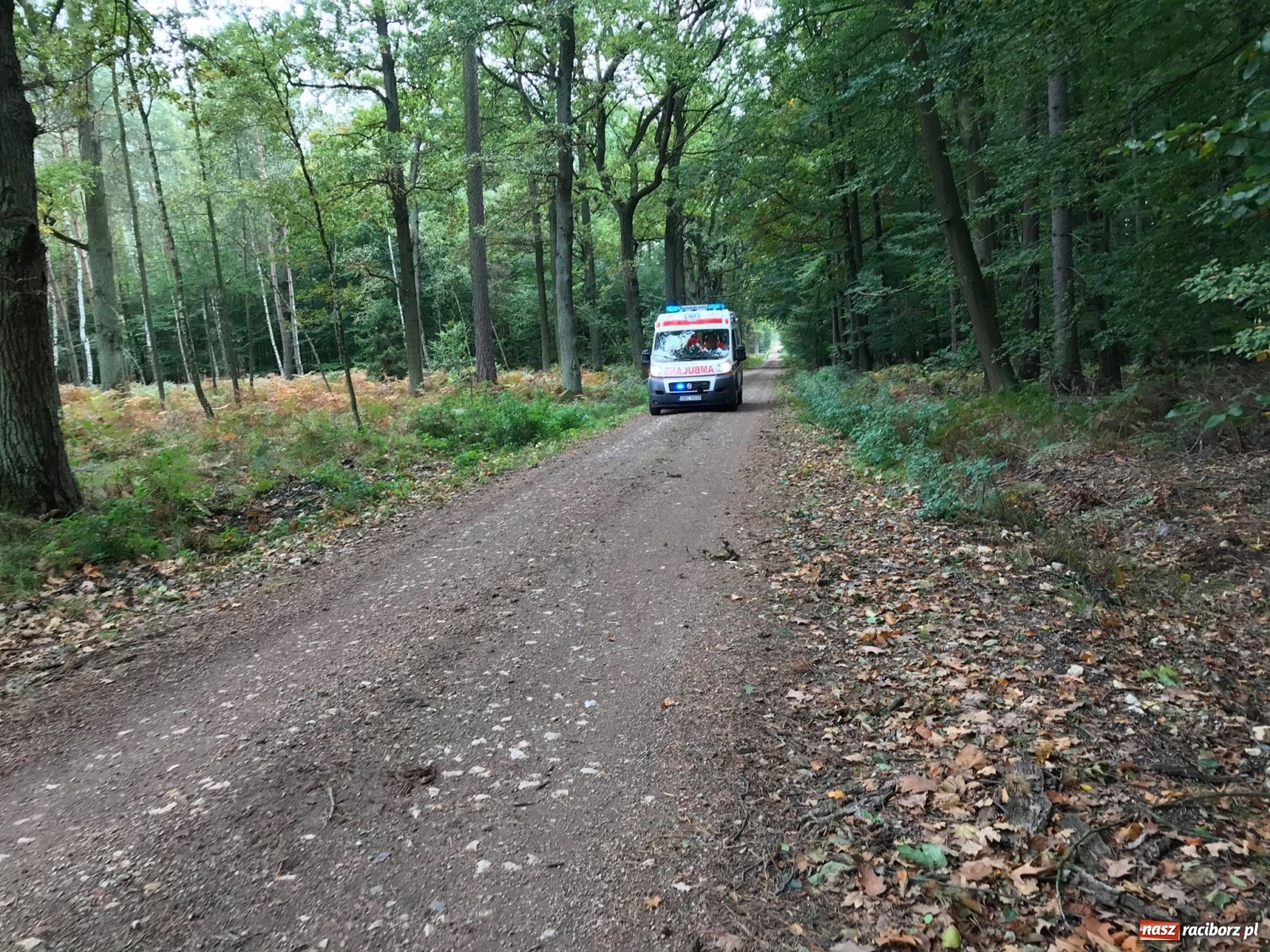 Zdjęcie w galerii na portalu naszraciborz.pl: Wybuch w Kuźni Raciborskiej. Dwóch saperów nie żyje! [FOTO i WIDEO] wiadomości z regionu