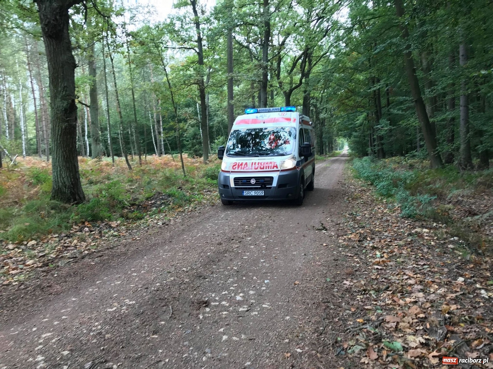 Zdjęcie w galerii na portalu naszraciborz.pl: Wybuch w Kuźni Raciborskiej. Dwóch saperów nie żyje! [FOTO i WIDEO] wiadomości z regionu