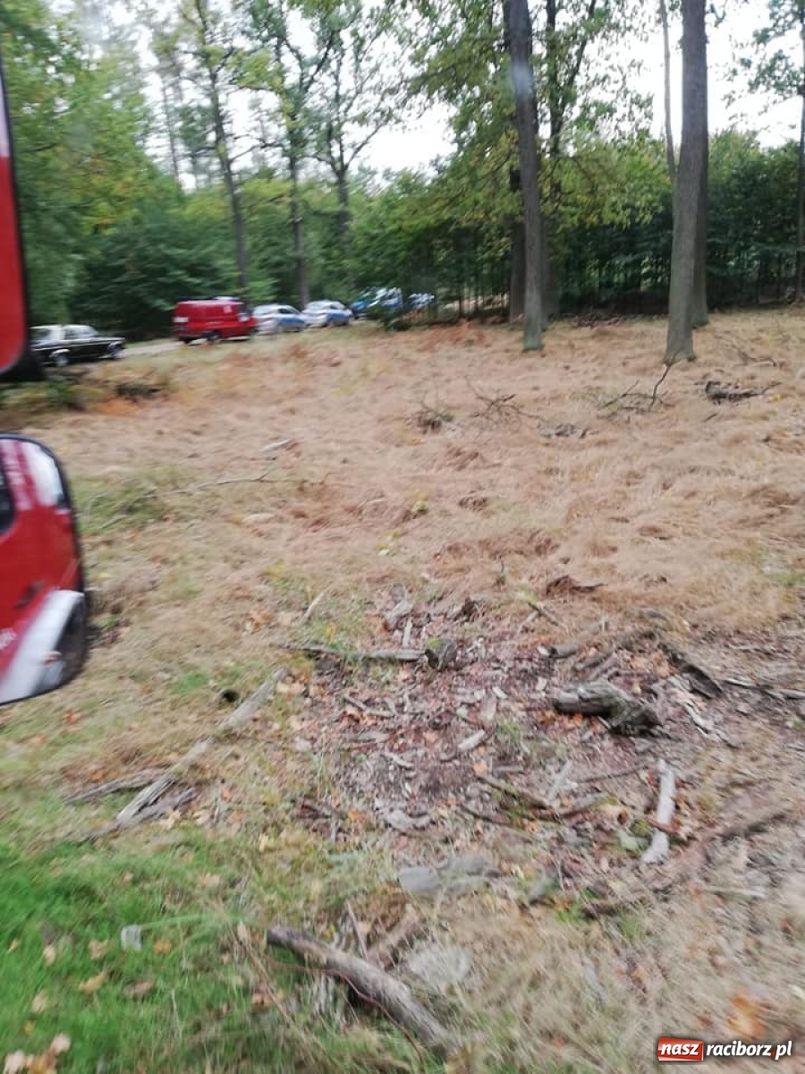 Zdjęcie w galerii na portalu naszraciborz.pl: Komunikat Wojska Polskiego w sprawie tragedii w Kuźni Raciborskiej  wiadomości z regionu