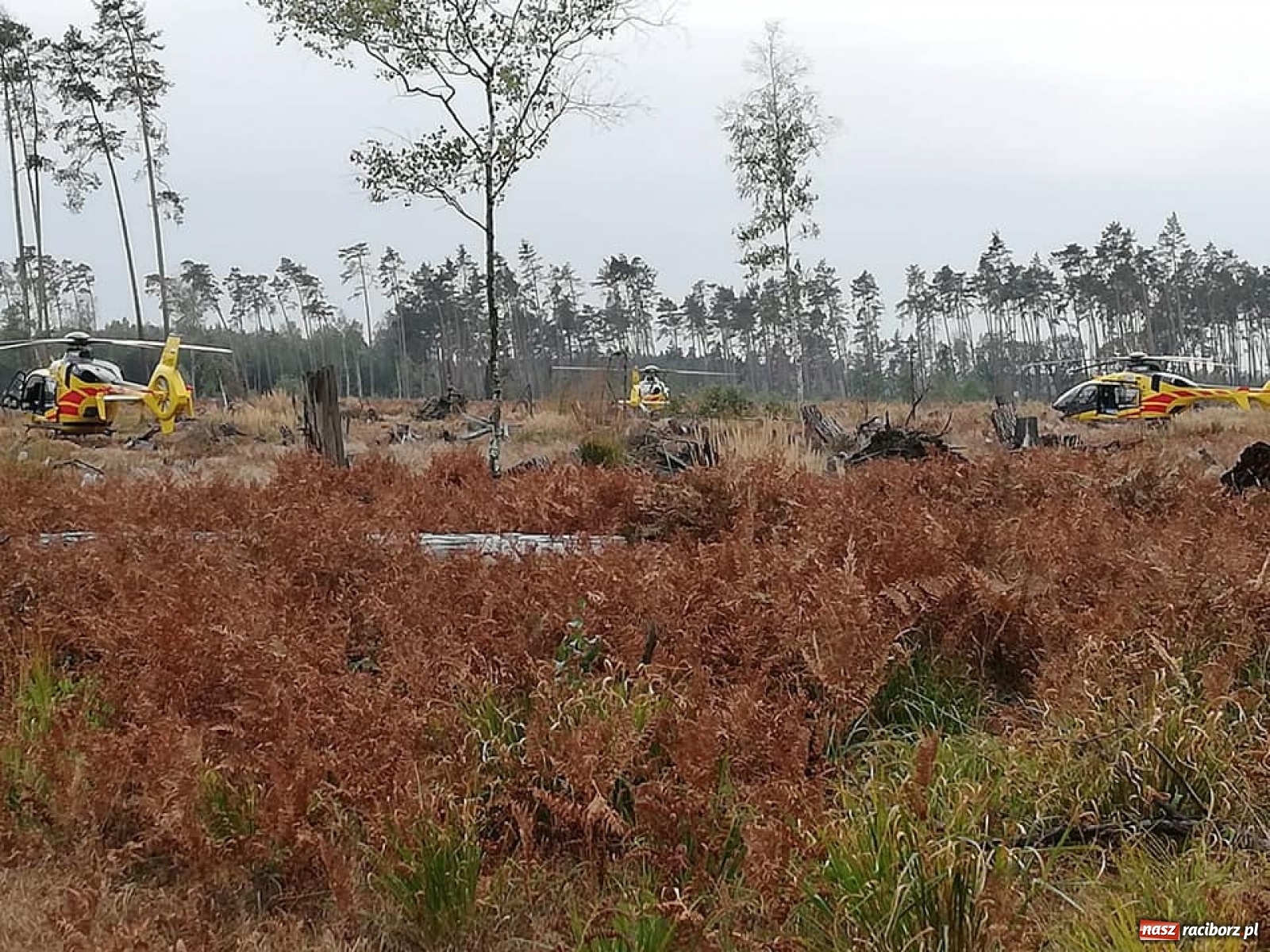 Zdjęcie w galerii na portalu naszraciborz.pl: Komunikat Wojska Polskiego w sprawie tragedii w Kuźni Raciborskiej  wiadomości z regionu