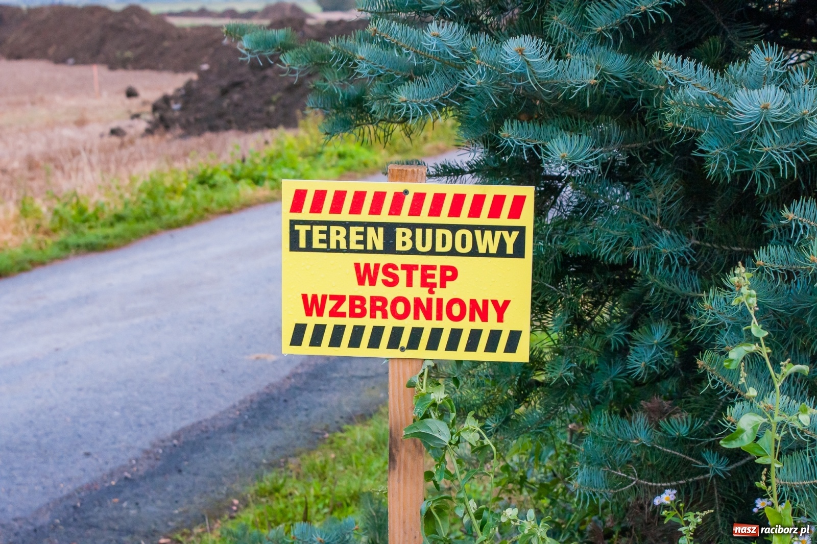 Zdjęcie w galerii na portalu naszraciborz.pl: Raport z budowy wschodniej obwodnicy [FOTO] wiadomości z regionu