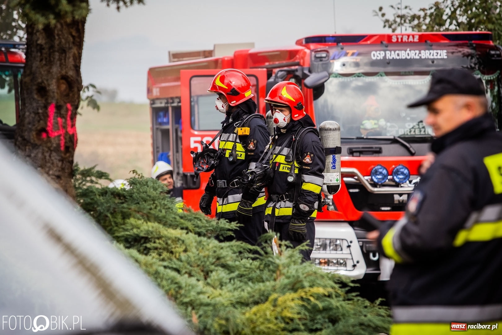Zdjęcie w galerii na portalu naszraciborz.pl: Pożar na Ostrogu. Akcja strażaków przy moście kolejowym [FOTO i WIDEO] wiadomości z regionu