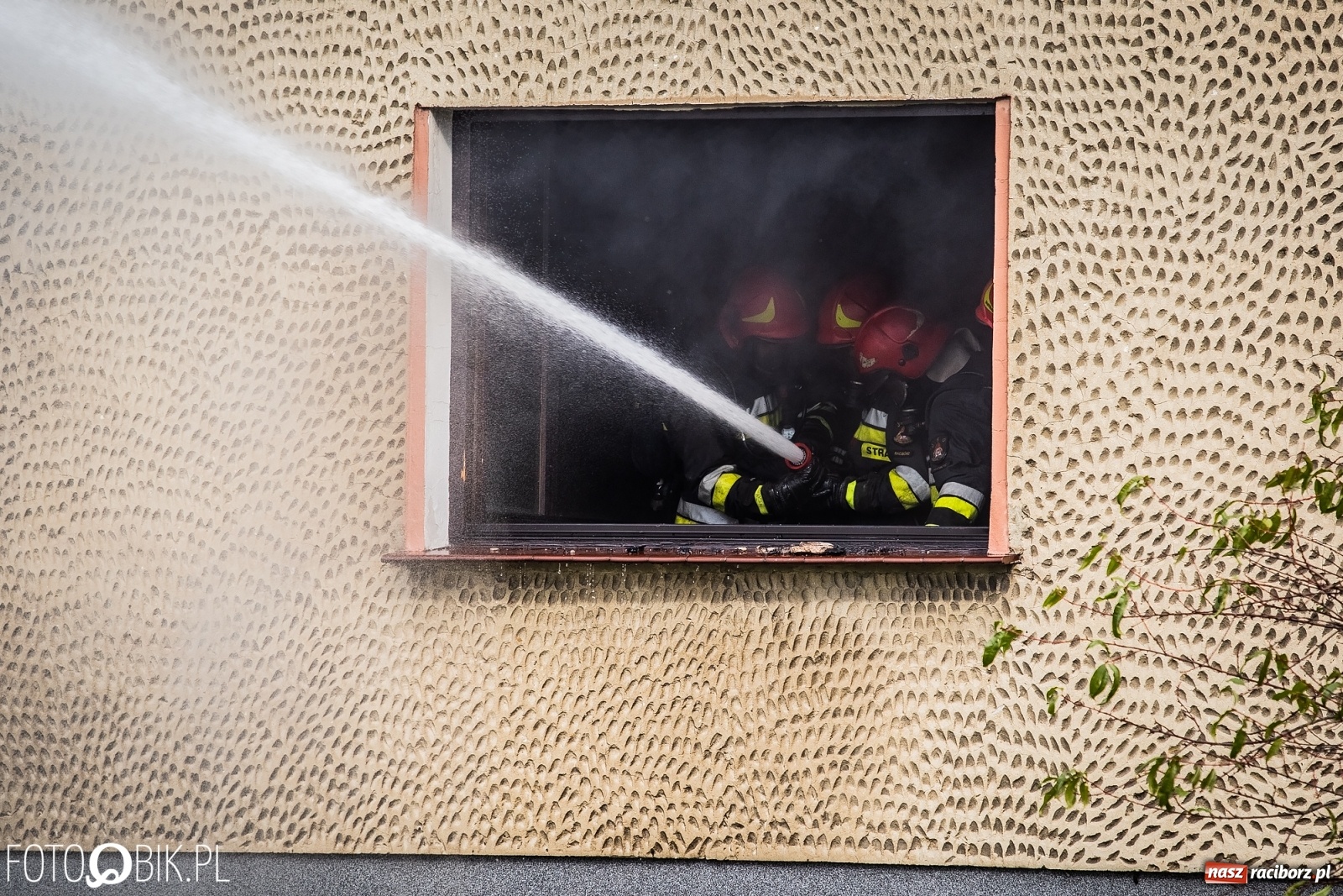 Zdjęcie w galerii na portalu naszraciborz.pl: Pożar na Ostrogu. Akcja strażaków przy moście kolejowym [FOTO i WIDEO] wiadomości z regionu