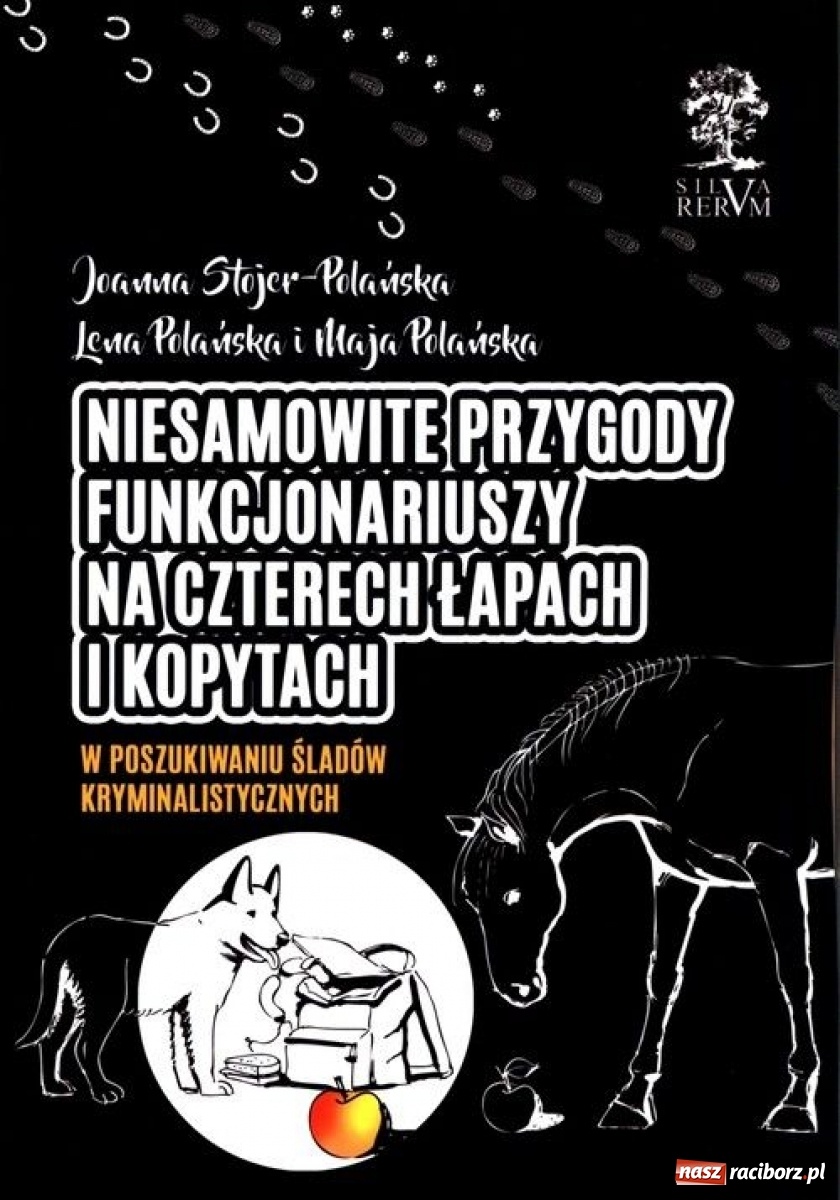 Zdjęcie w galerii na portalu naszraciborz.pl: Niewiarygodne przygody labradora Koksa  wiadomości z regionu