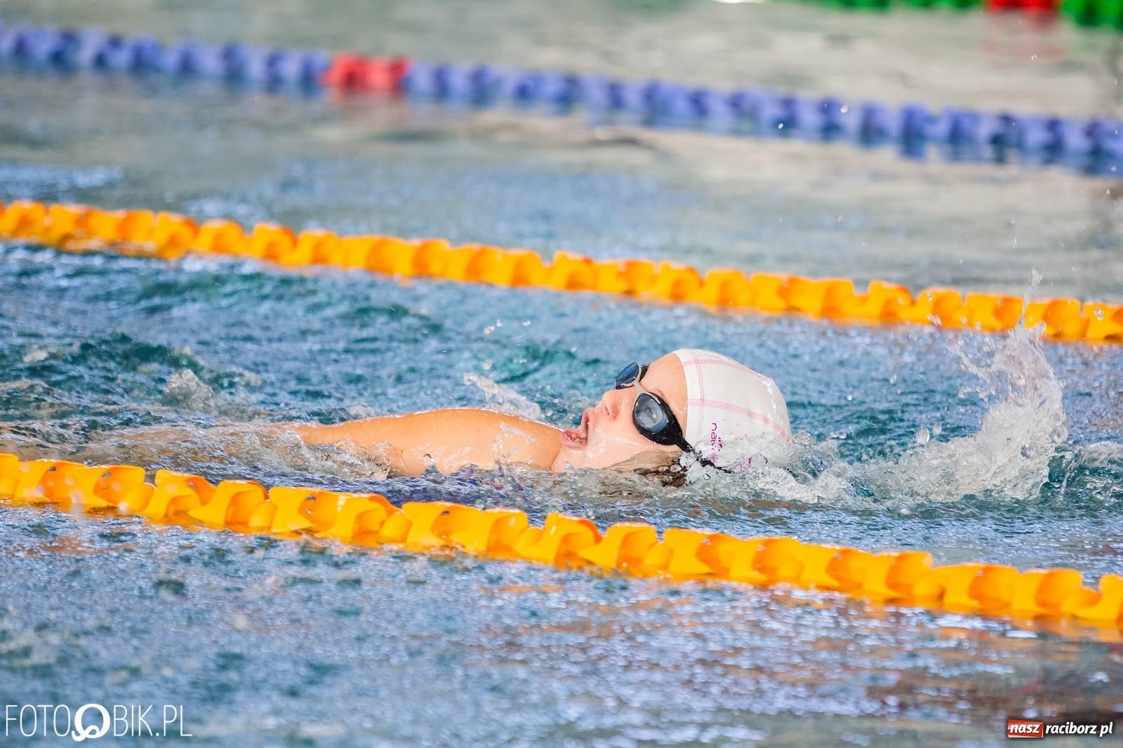 Zdjęcie w galerii na portalu naszraciborz.pl: 12. Międzynarodowe Zawody Pływackie o Puchar Dyrektora ZSOMS wiadomości z regionu