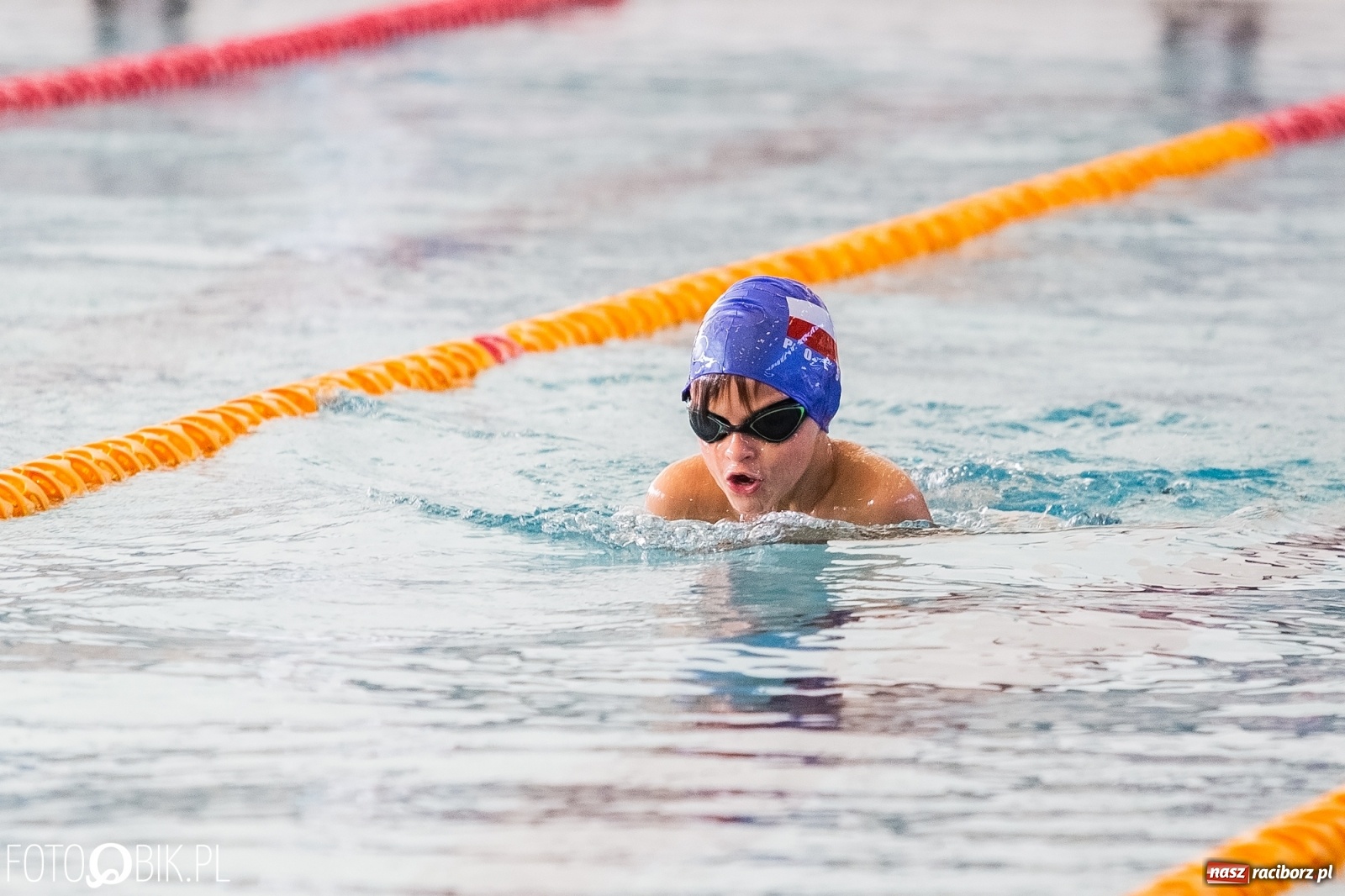 Zdjęcie w galerii na portalu naszraciborz.pl: 12. Międzynarodowe Zawody Pływackie o Puchar Dyrektora ZSOMS wiadomości z regionu