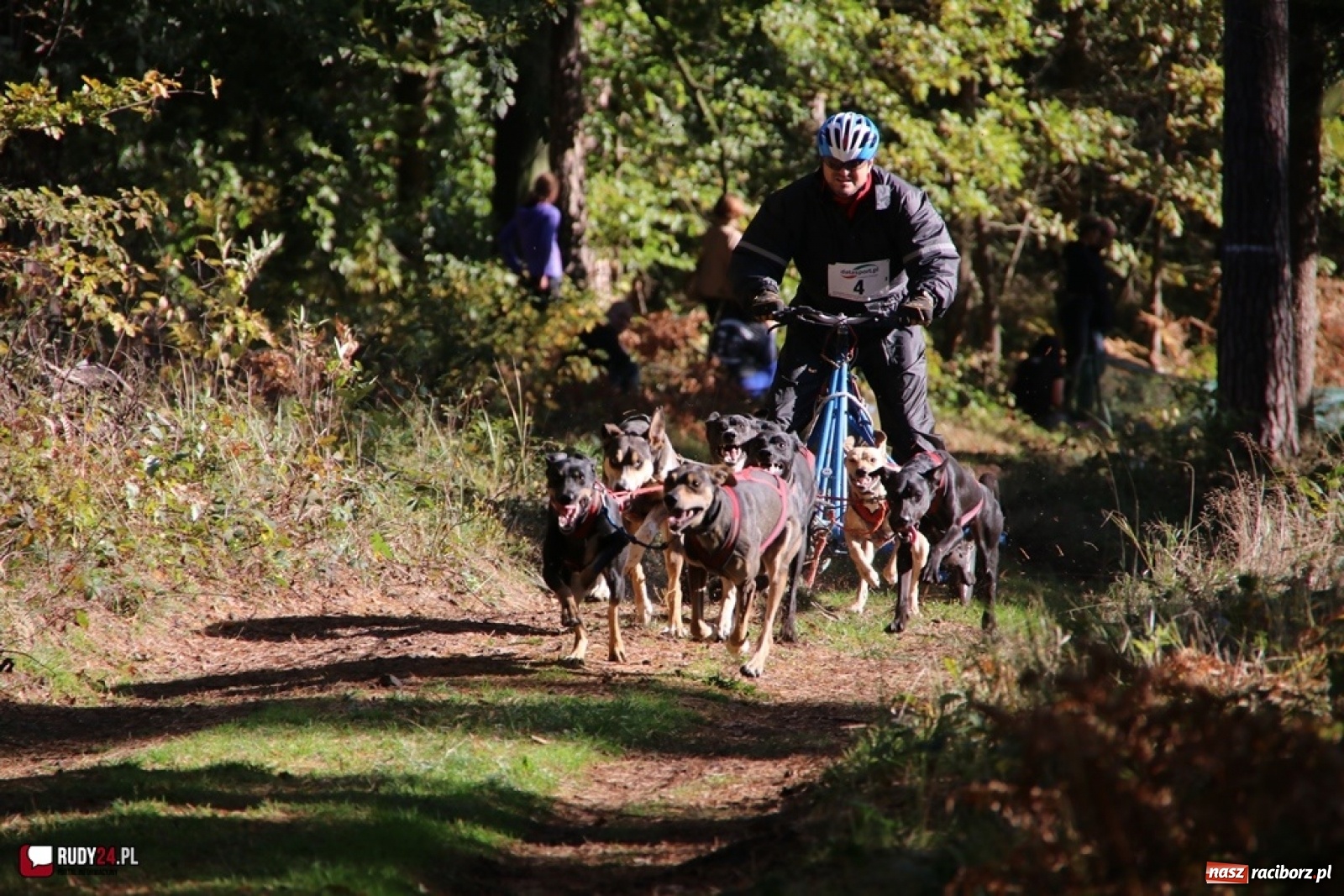 Zdjęcie w galerii na portalu naszraciborz.pl: Międzynarodowe Wyścigi Psich Zaprzęgów Szczekowyje w Buku  wiadomości z regionu