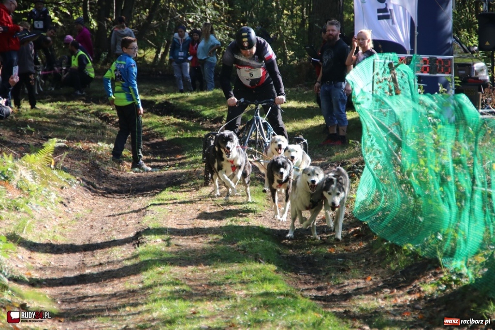 Zdjęcie w galerii na portalu naszraciborz.pl: Międzynarodowe Wyścigi Psich Zaprzęgów Szczekowyje w Buku  wiadomości z regionu