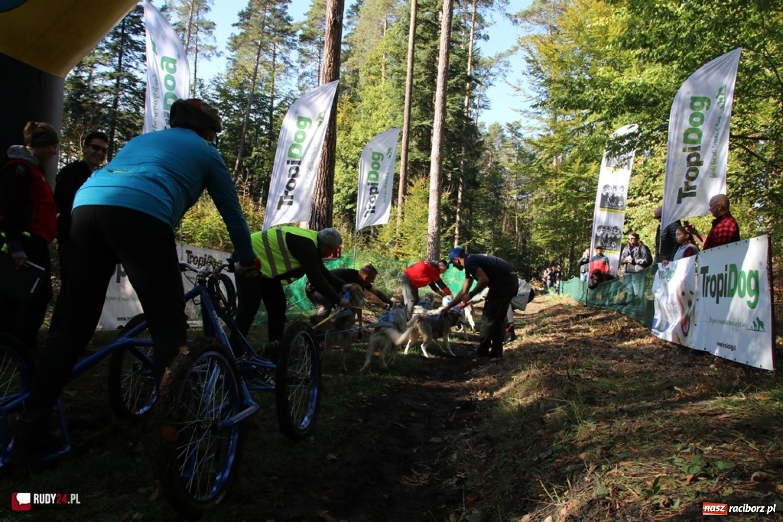 Zdjęcie w galerii na portalu naszraciborz.pl: Międzynarodowe Wyścigi Psich Zaprzęgów Szczekowyje w Buku  wiadomości z regionu