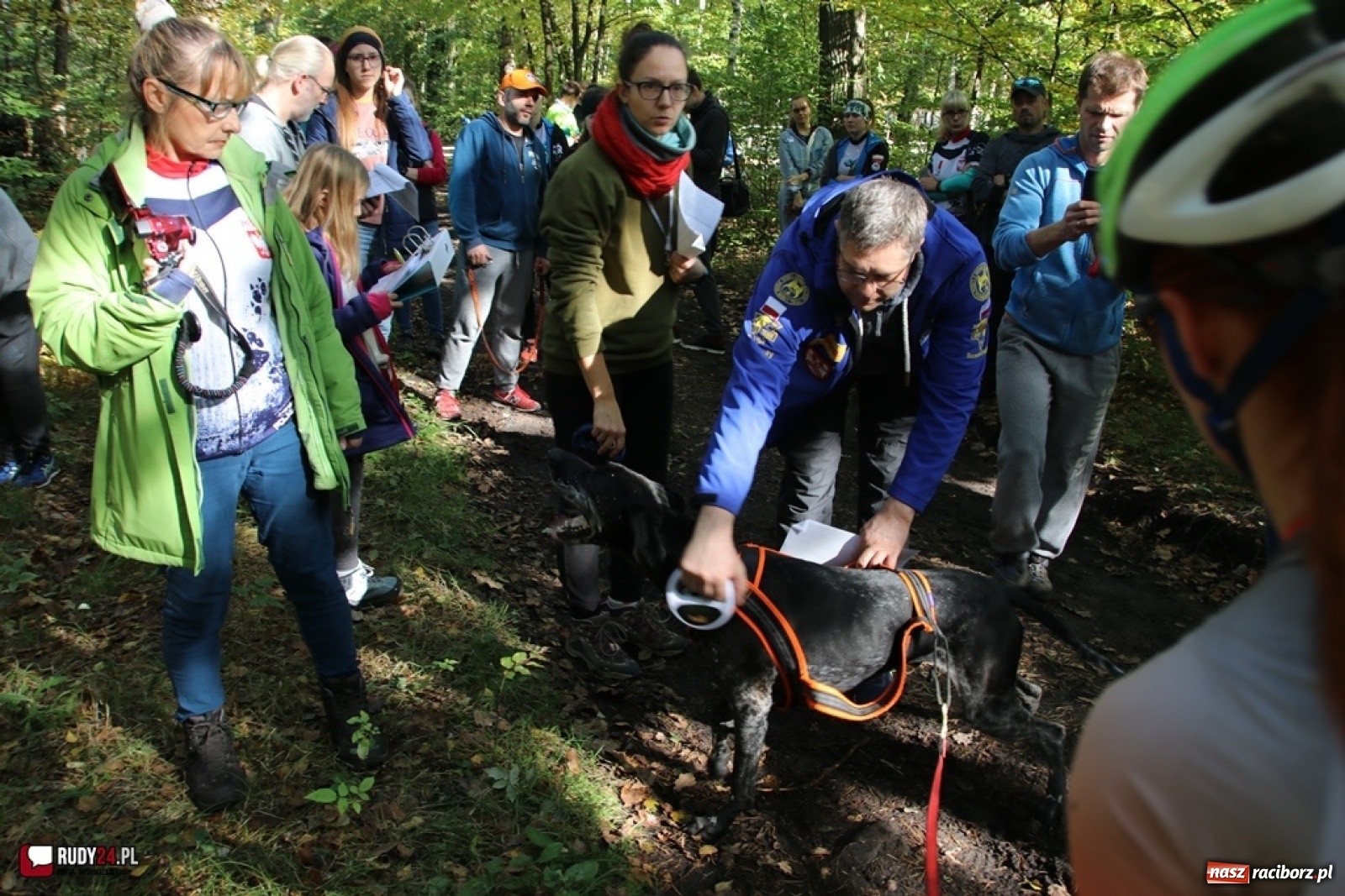 Zdjęcie w galerii na portalu naszraciborz.pl: Międzynarodowe Wyścigi Psich Zaprzęgów Szczekowyje w Buku  wiadomości z regionu