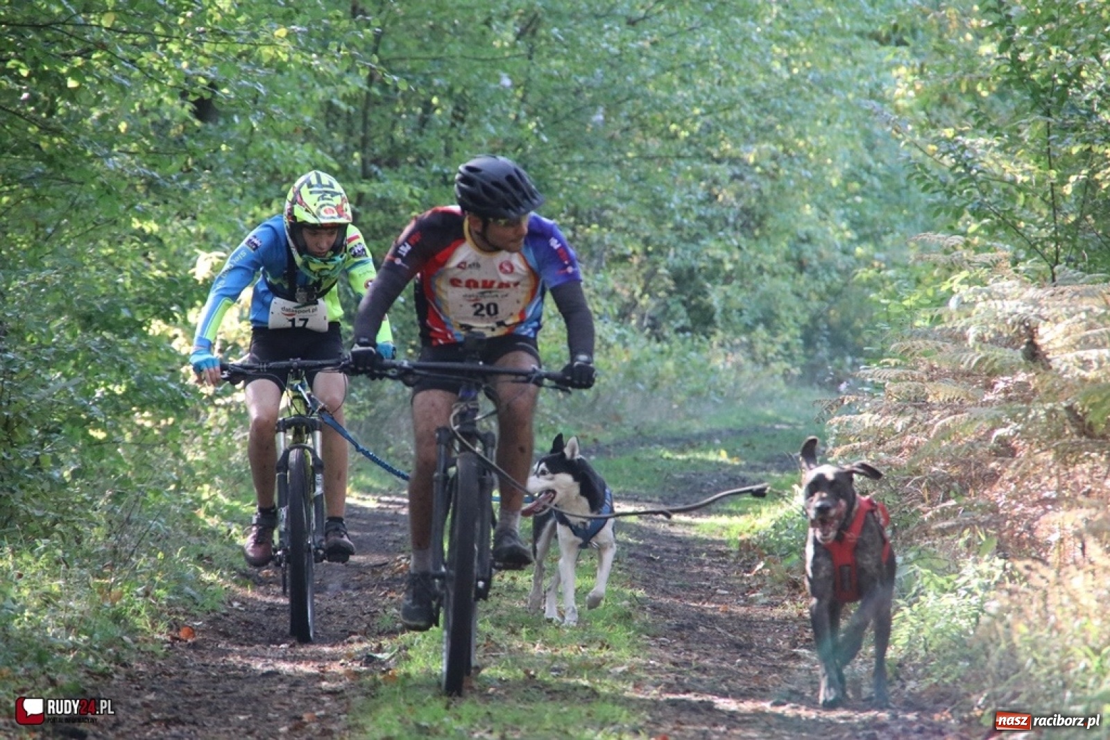 Zdjęcie w galerii na portalu naszraciborz.pl: Międzynarodowe Wyścigi Psich Zaprzęgów Szczekowyje w Buku  wiadomości z regionu