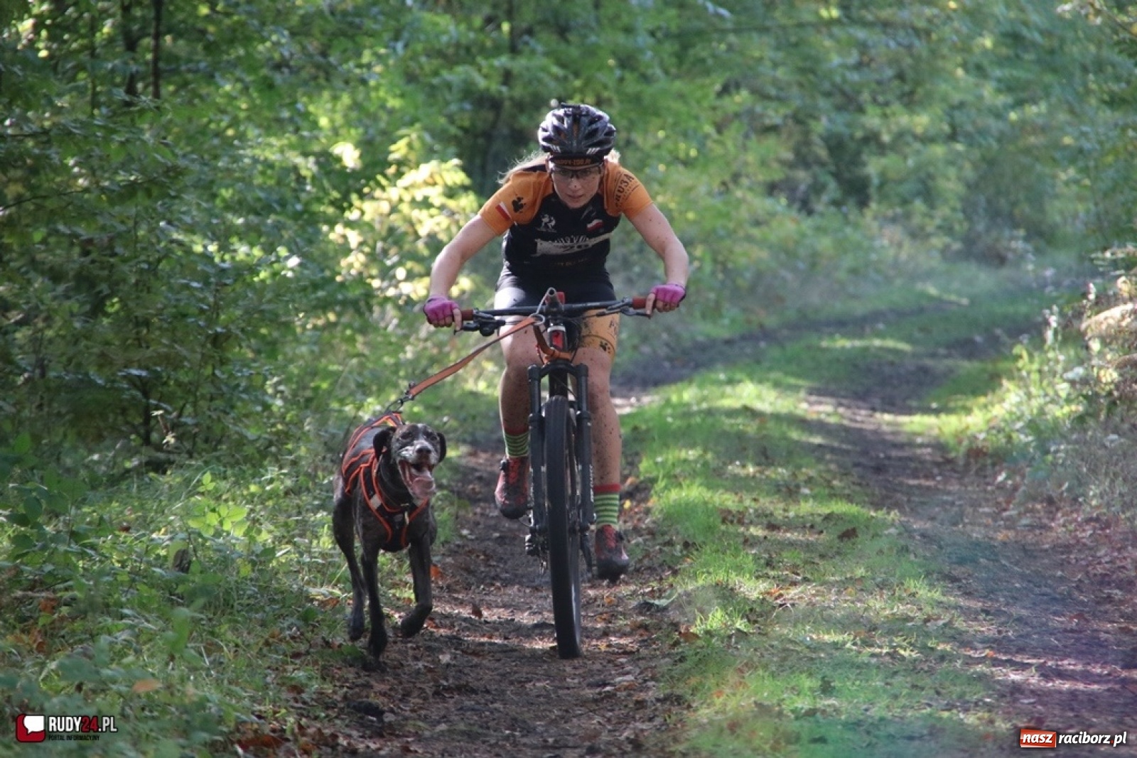 Zdjęcie w galerii na portalu naszraciborz.pl: Międzynarodowe Wyścigi Psich Zaprzęgów Szczekowyje w Buku  wiadomości z regionu