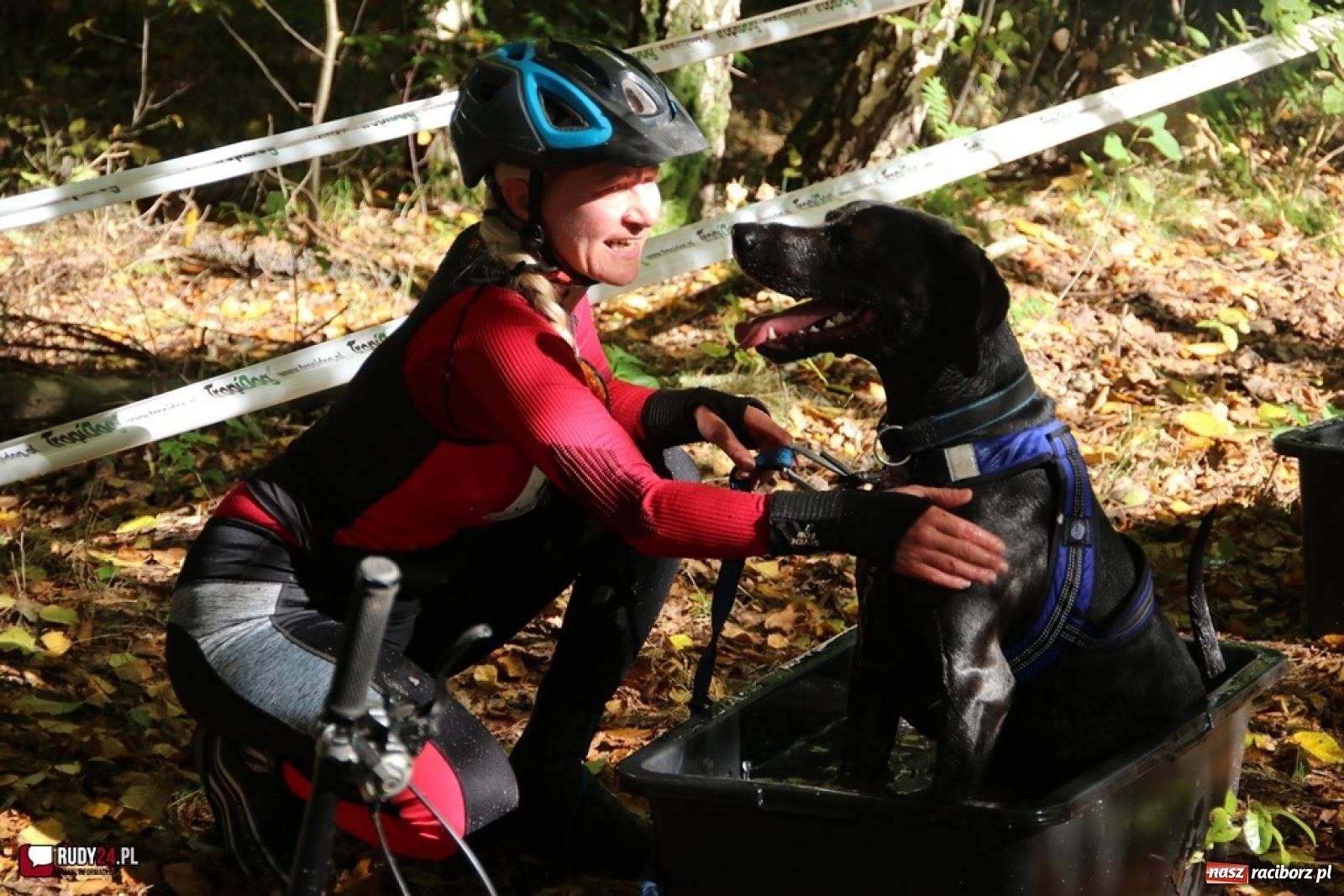 Zdjęcie w galerii na portalu naszraciborz.pl: Międzynarodowe Wyścigi Psich Zaprzęgów Szczekowyje w Buku  wiadomości z regionu