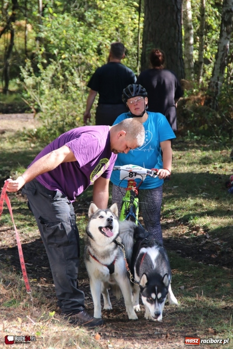 Zdjęcie w galerii na portalu naszraciborz.pl: Międzynarodowe Wyścigi Psich Zaprzęgów Szczekowyje w Buku  wiadomości z regionu