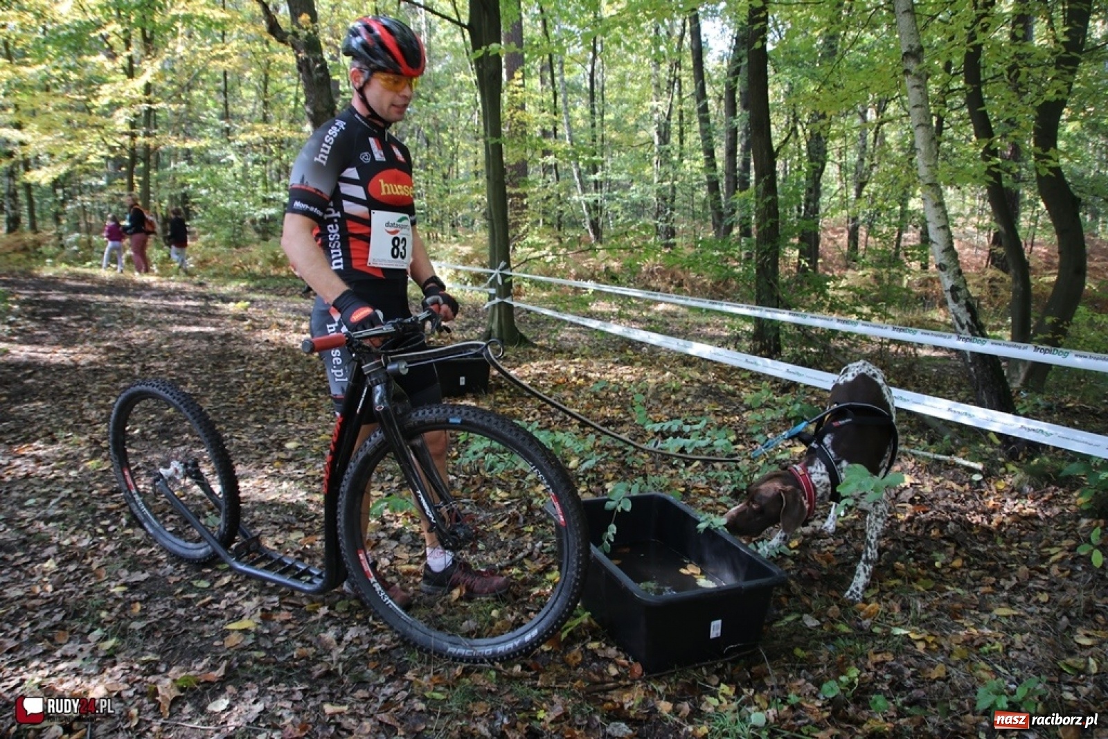 Zdjęcie w galerii na portalu naszraciborz.pl: Międzynarodowe Wyścigi Psich Zaprzęgów Szczekowyje w Buku  wiadomości z regionu