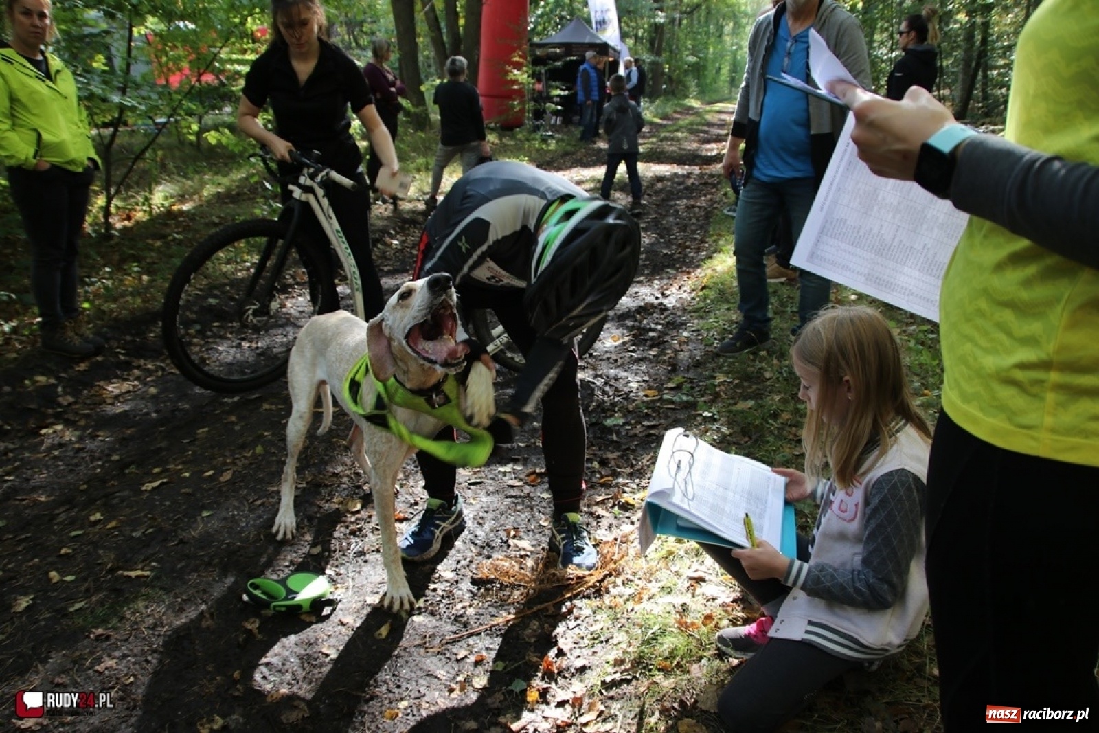 Zdjęcie w galerii na portalu naszraciborz.pl: Międzynarodowe Wyścigi Psich Zaprzęgów Szczekowyje w Buku  wiadomości z regionu