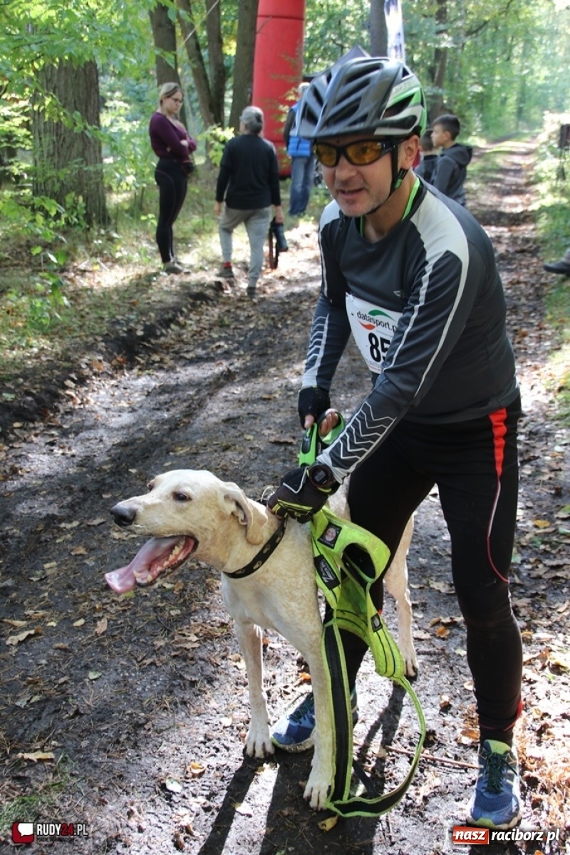 Zdjęcie w galerii na portalu naszraciborz.pl: Międzynarodowe Wyścigi Psich Zaprzęgów Szczekowyje w Buku  wiadomości z regionu