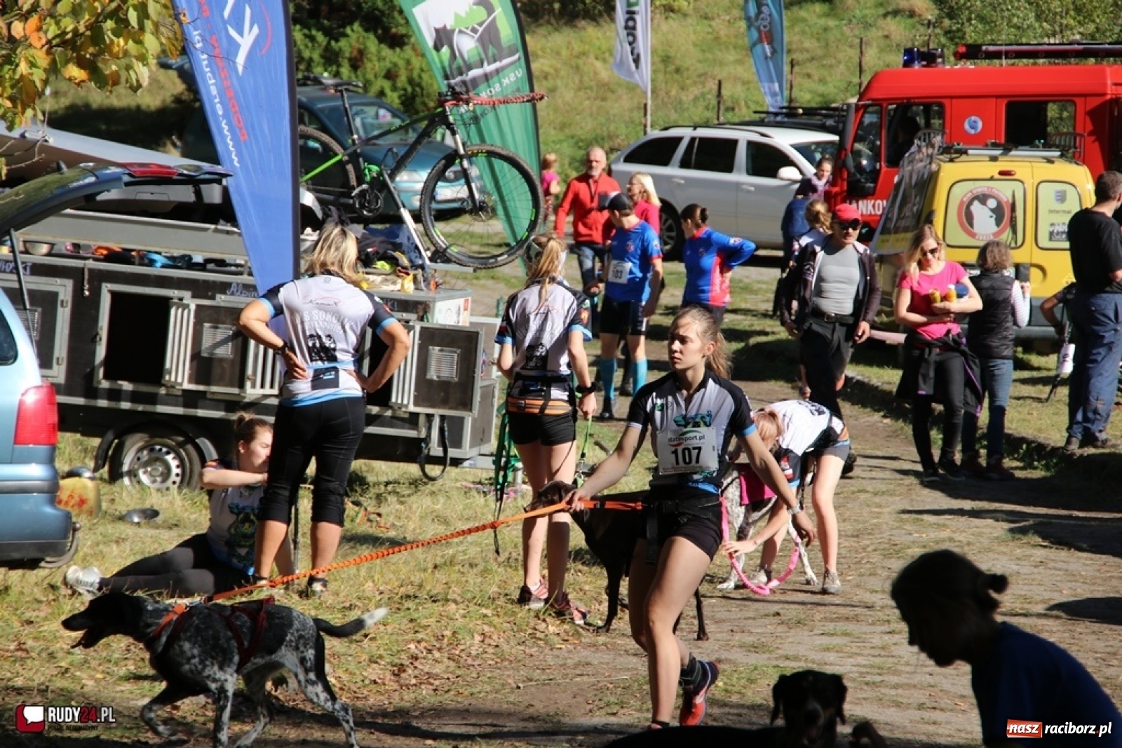 Zdjęcie w galerii na portalu naszraciborz.pl: Międzynarodowe Wyścigi Psich Zaprzęgów Szczekowyje w Buku  wiadomości z regionu