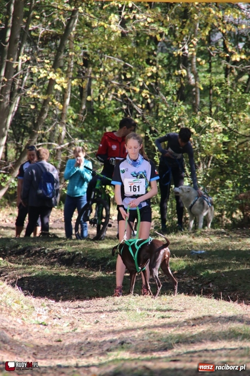 Zdjęcie w galerii na portalu naszraciborz.pl: Międzynarodowe Wyścigi Psich Zaprzęgów Szczekowyje w Buku  wiadomości z regionu