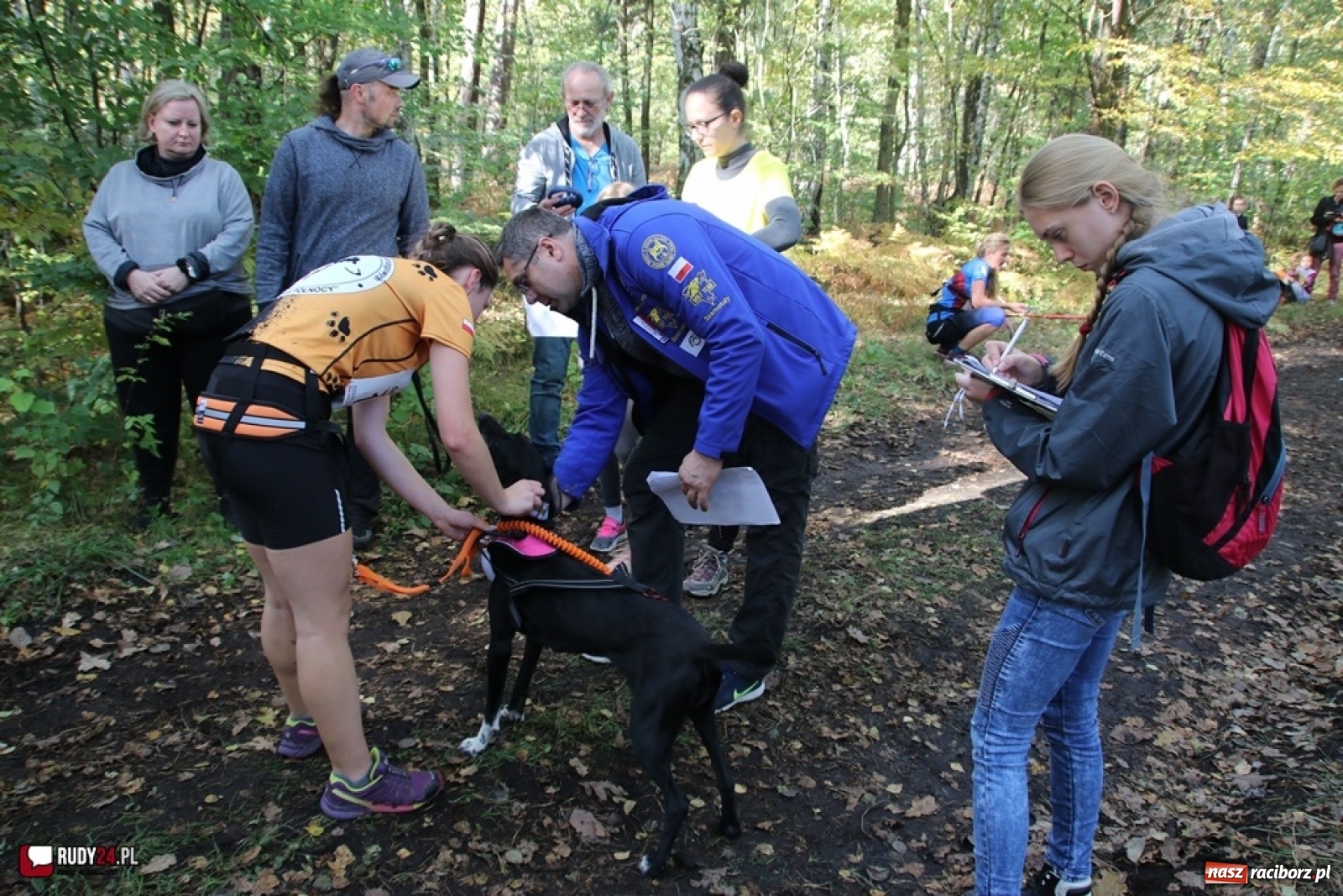 Zdjęcie w galerii na portalu naszraciborz.pl: Międzynarodowe Wyścigi Psich Zaprzęgów Szczekowyje w Buku  wiadomości z regionu