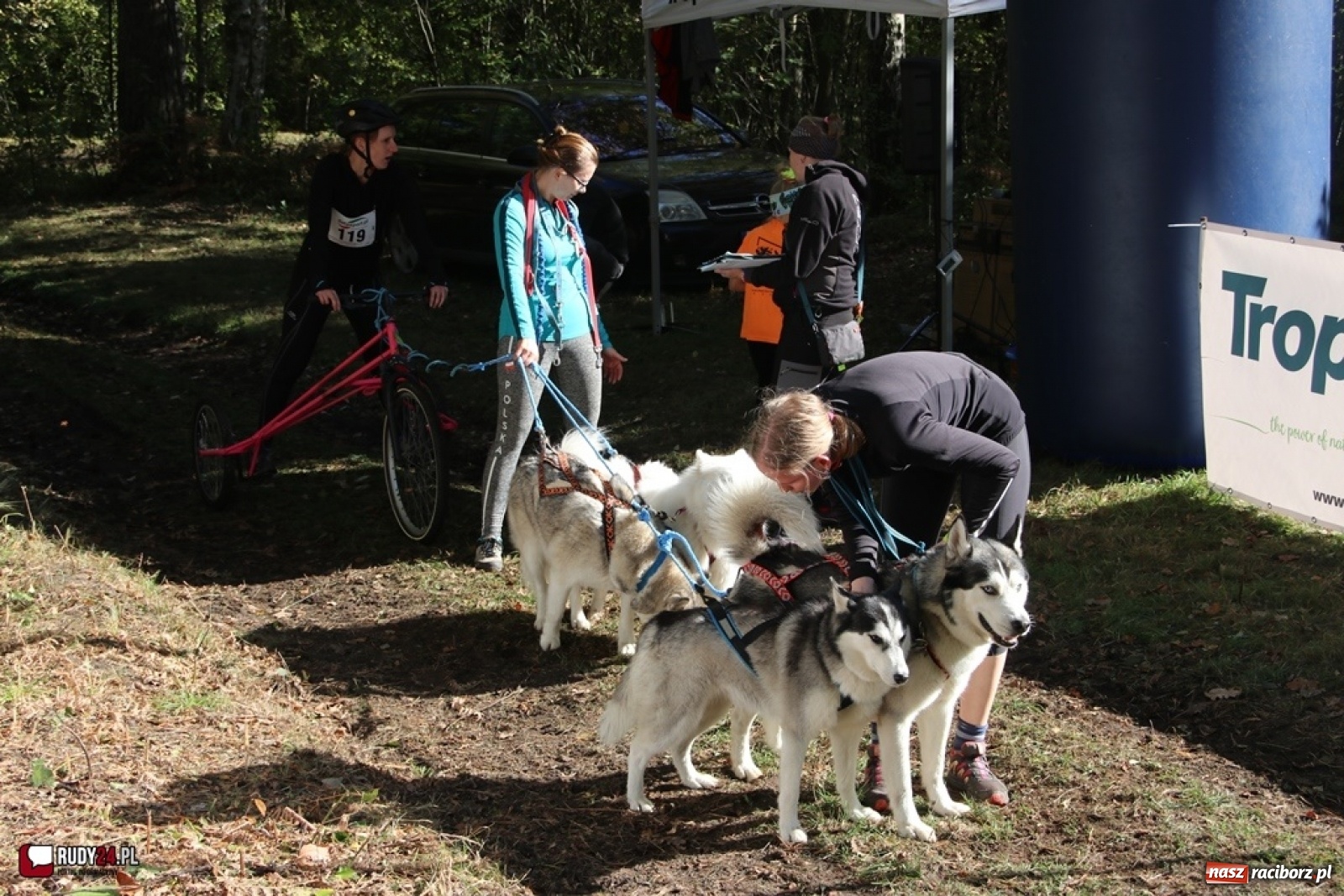 Zdjęcie w galerii na portalu naszraciborz.pl: Międzynarodowe Wyścigi Psich Zaprzęgów Szczekowyje w Buku  wiadomości z regionu