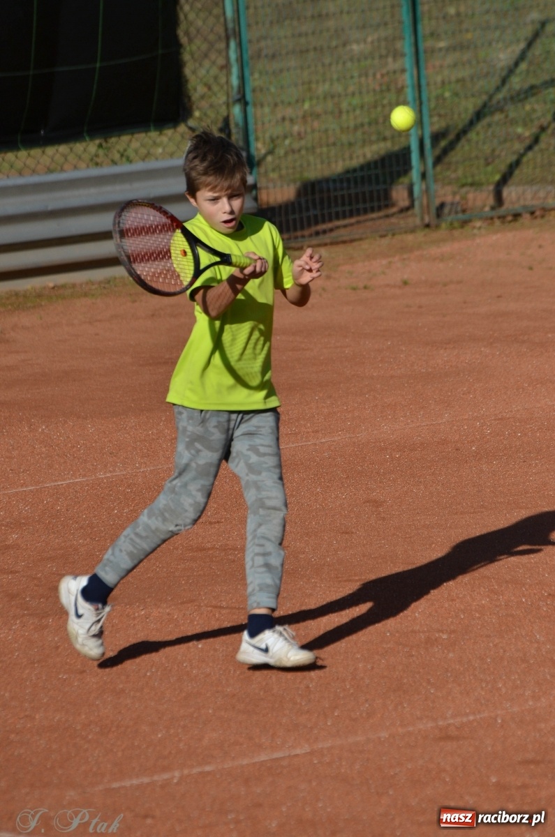Zdjęcie w galerii na portalu naszraciborz.pl: Młodzi tenisiści rywalizowali o Puchar Dyrektora OSiR-u wiadomości z regionu