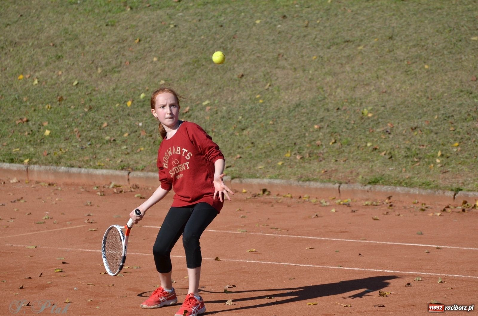 Zdjęcie w galerii na portalu naszraciborz.pl: Młodzi tenisiści rywalizowali o Puchar Dyrektora OSiR-u wiadomości z regionu