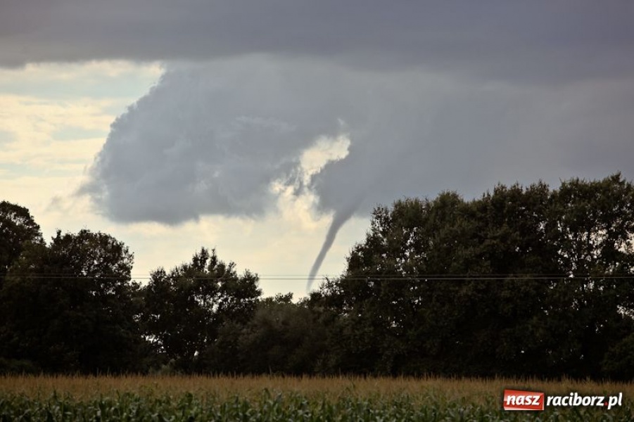 Zdjęcie w galerii na portalu naszraciborz.pl: Rzadko obserwowane zjawisko wiadomości z regionu