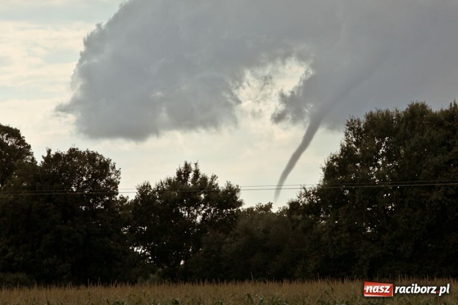 Zdjęcie w galerii na portalu naszraciborz.pl: Rzadko obserwowane zjawisko wiadomości z regionu